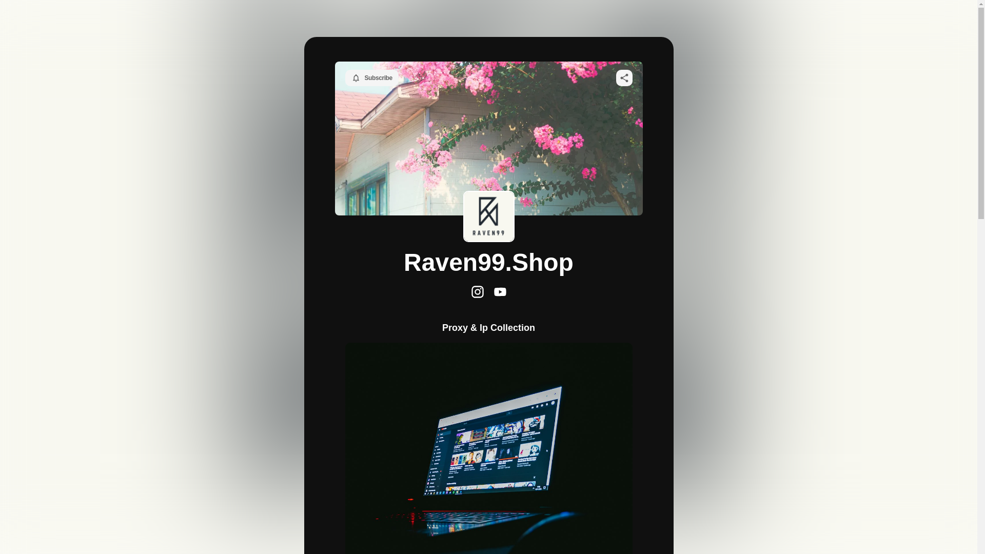 website screenshot of https://raven99.store/