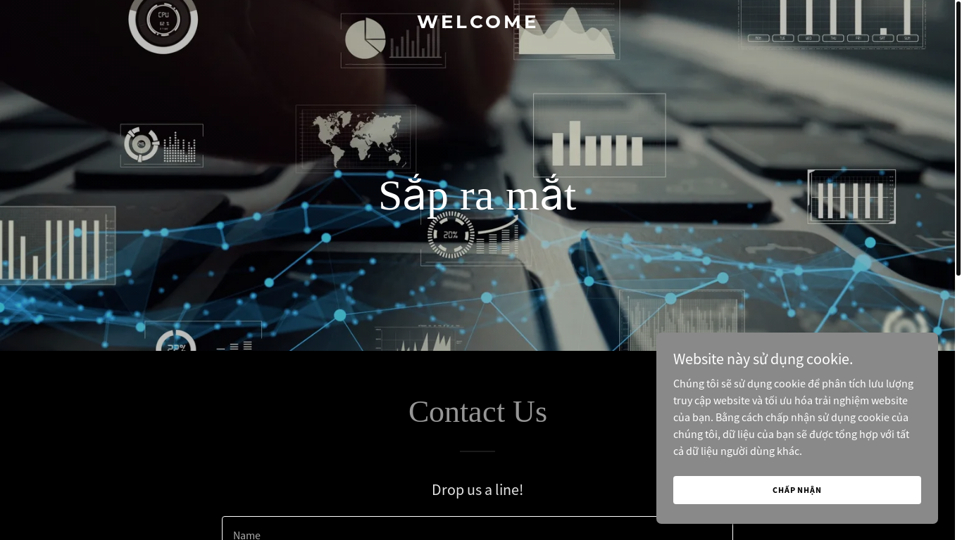 website screenshot of https://luulaptong.com/