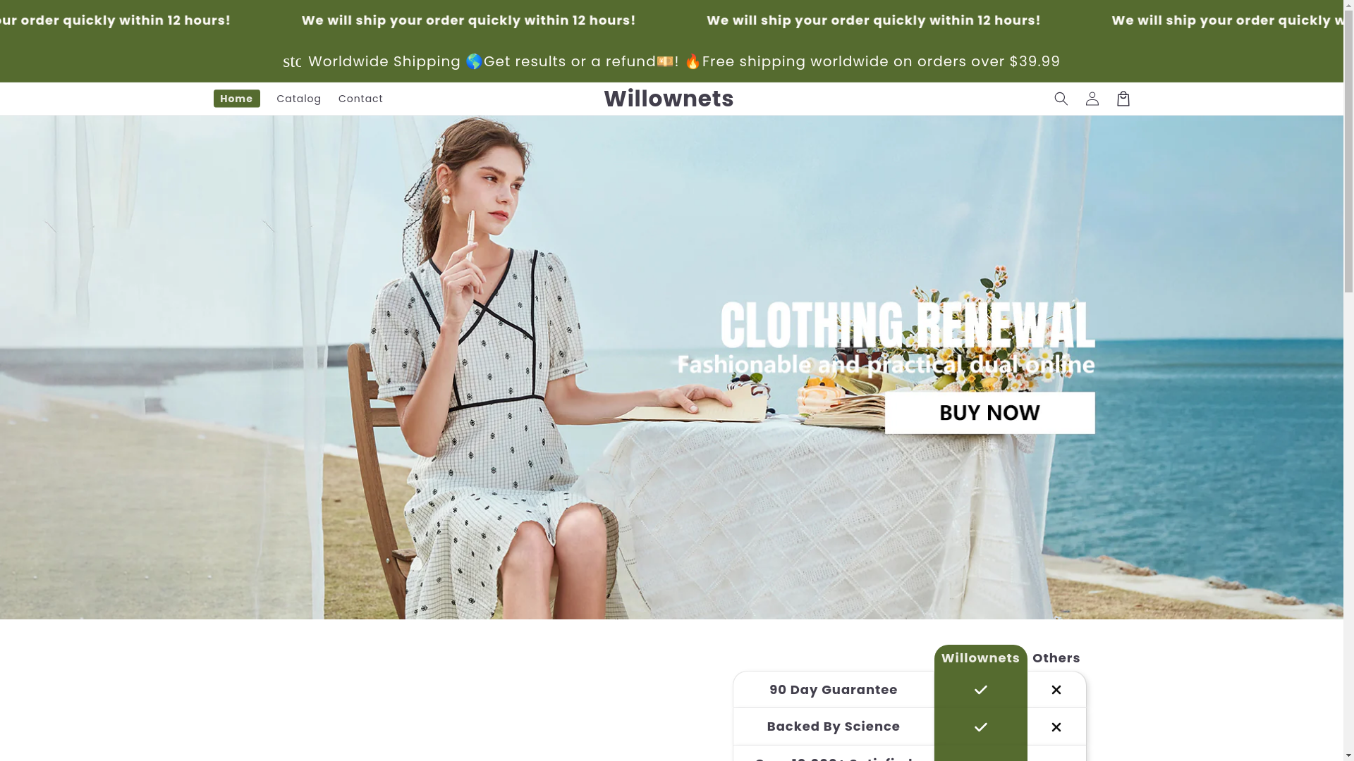 website screenshot of https://willownets.com/