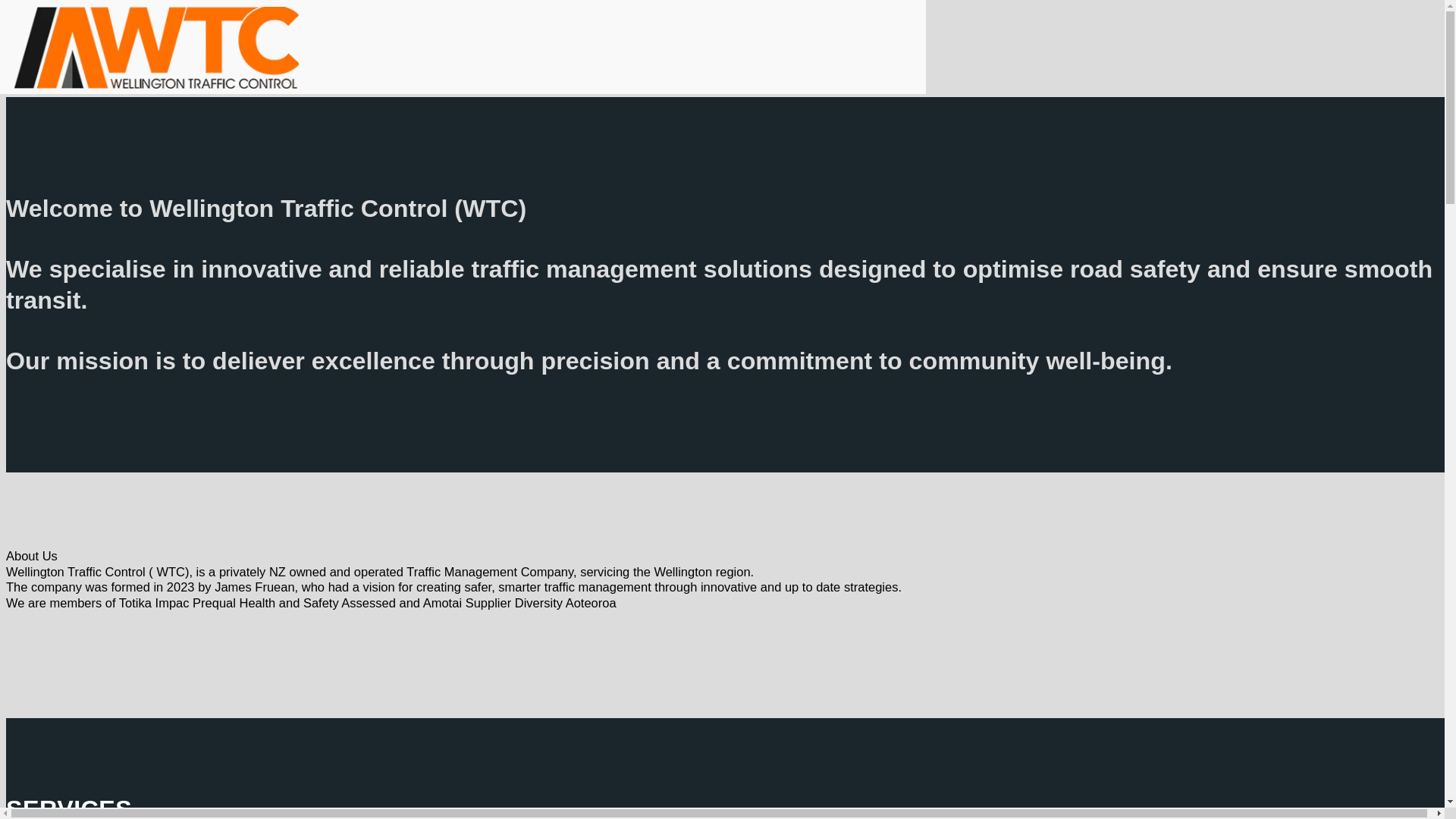 website screenshot of https://wellingtontrafficcontrol.org.nz/