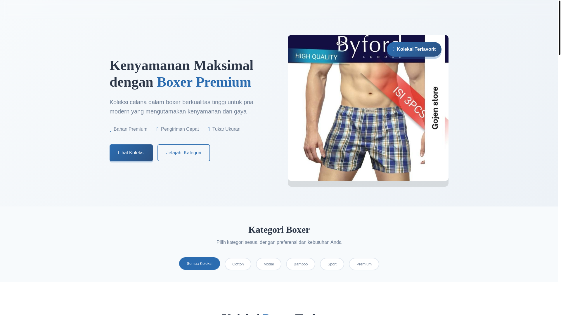 website screenshot of https://boxerpriaadem.pages.dev/