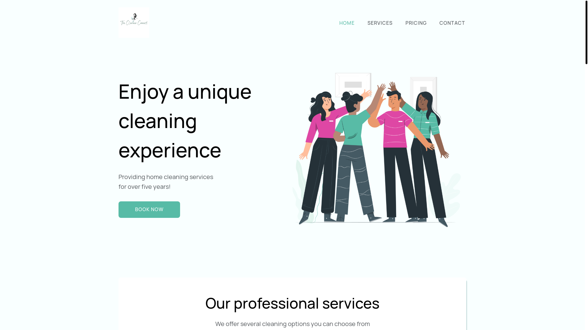 website screenshot of https://thecleanerconnect.co.za/