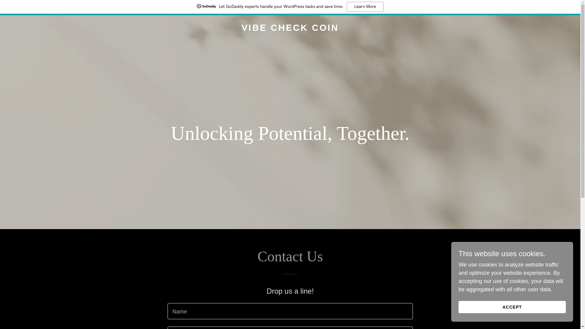 website screenshot of https://vibecheckcoin.com/