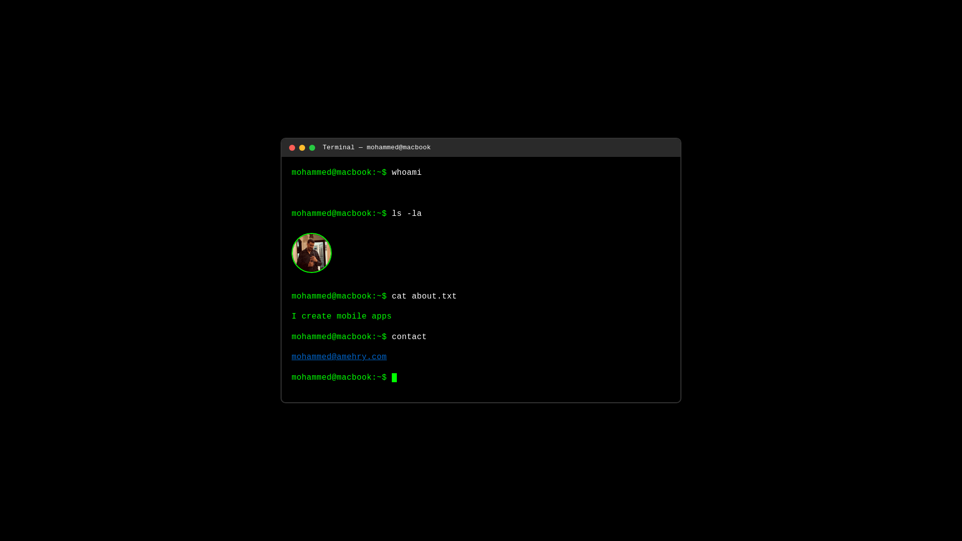 website screenshot of https://amehrymohammed.pages.dev/