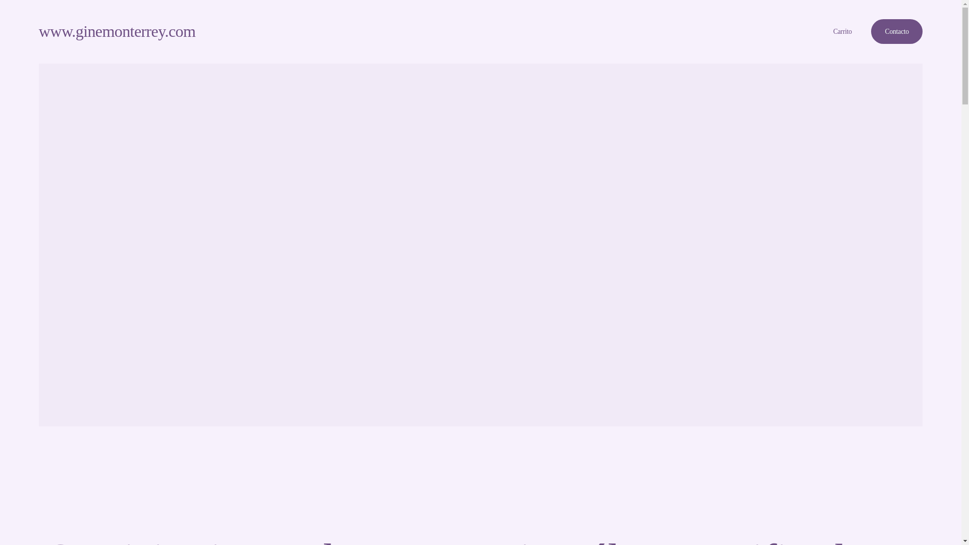 website screenshot of https://ginemonterrey.mx/