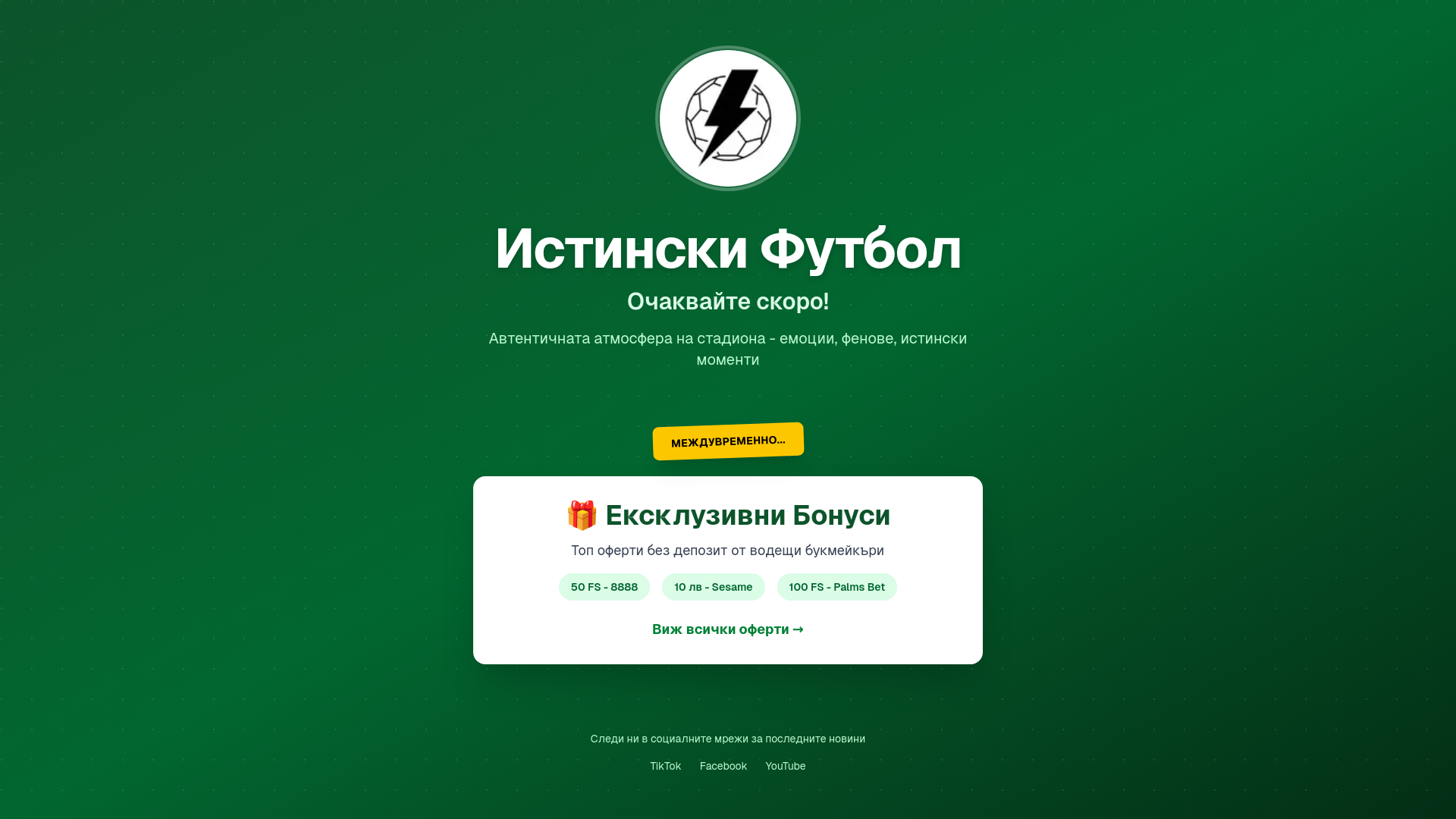 website screenshot of https://istinskifutbol.com/