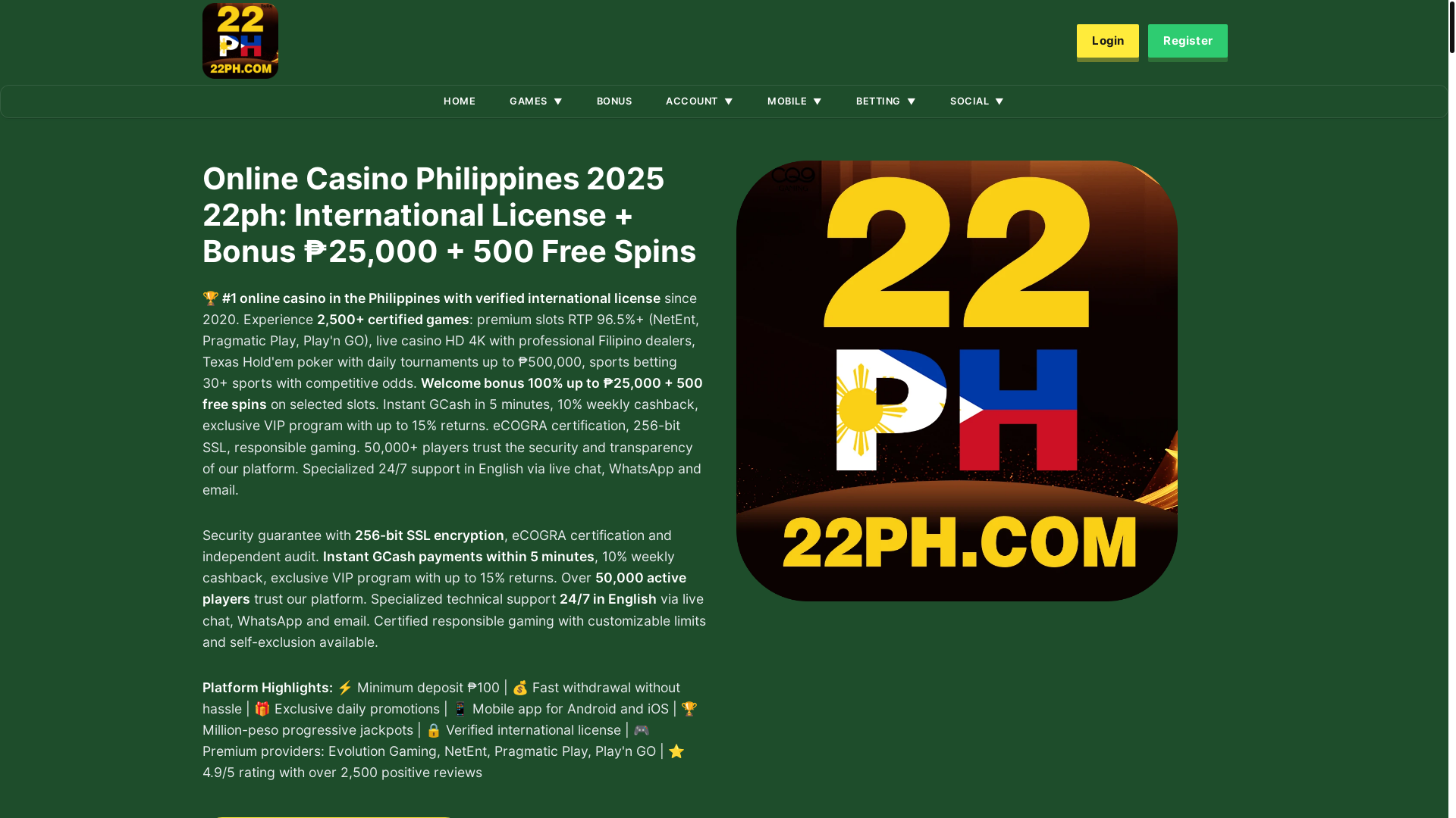 website screenshot of https://22phfb.com/