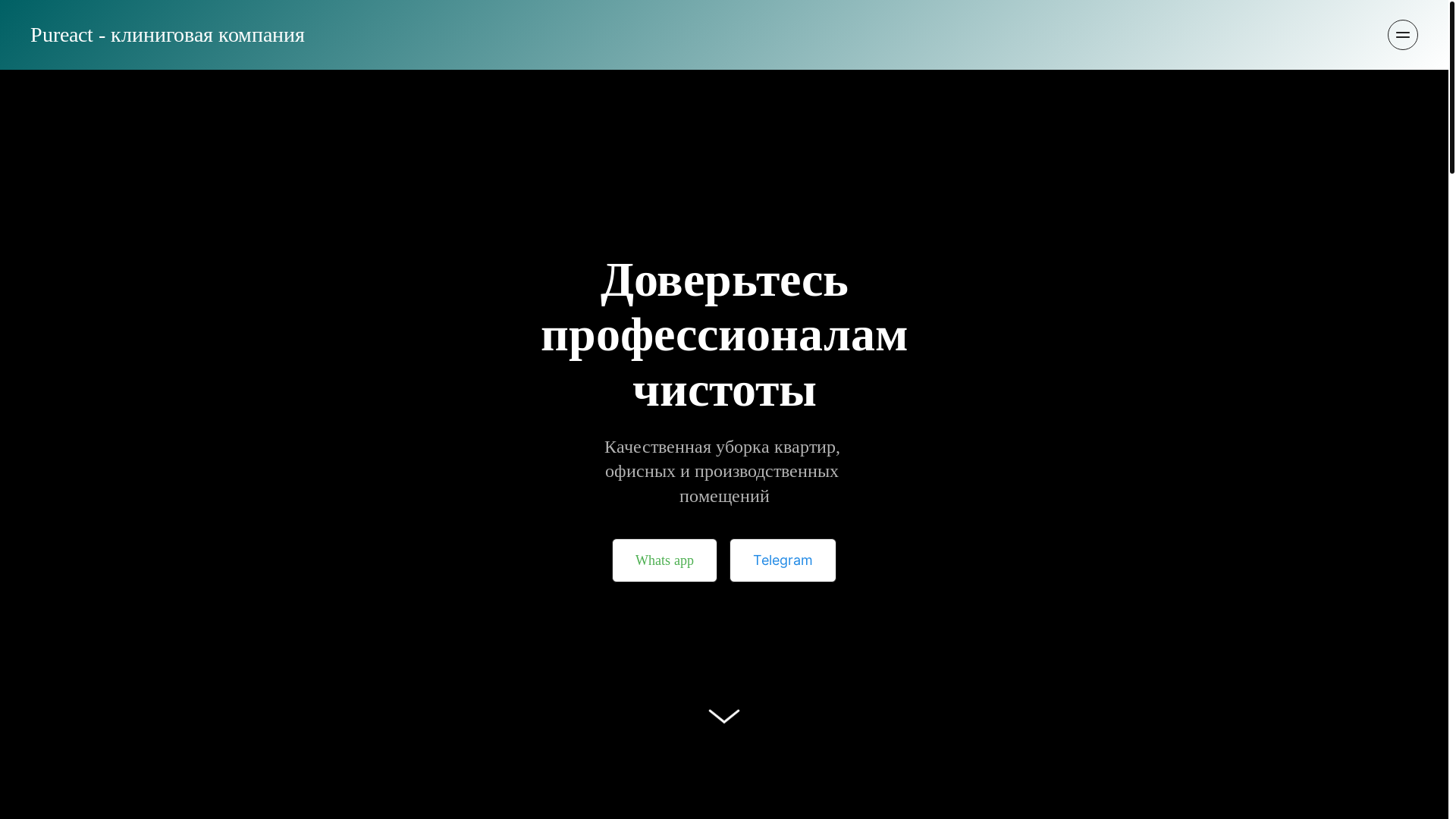 website screenshot of https://pureact.ru/