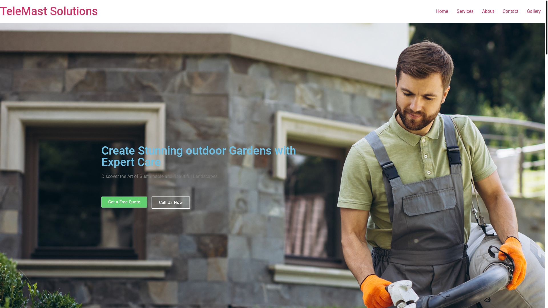 website screenshot of https://telemastsolutions.com/