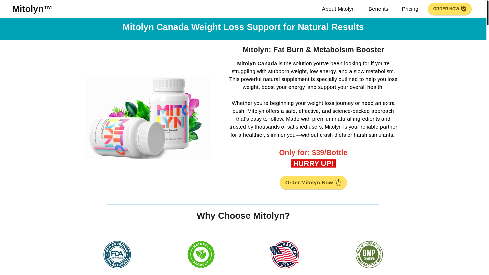 website screenshot of https://mitolyns.ca/
