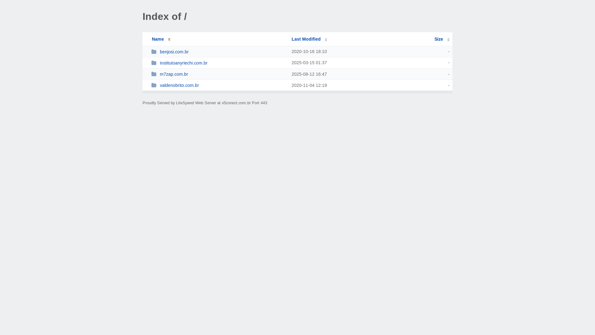 website screenshot of https://x5conect.com.br/