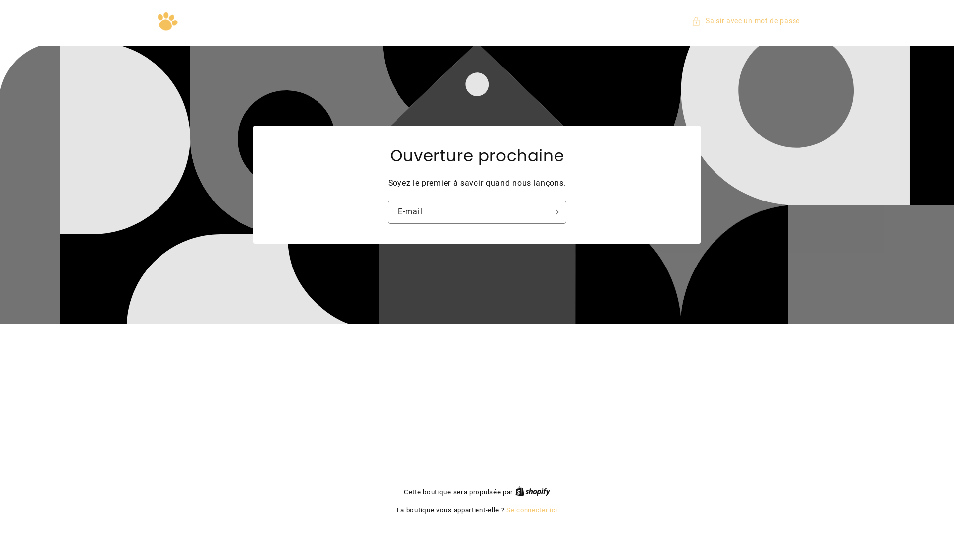 website screenshot of https://mon-compagnon.store/