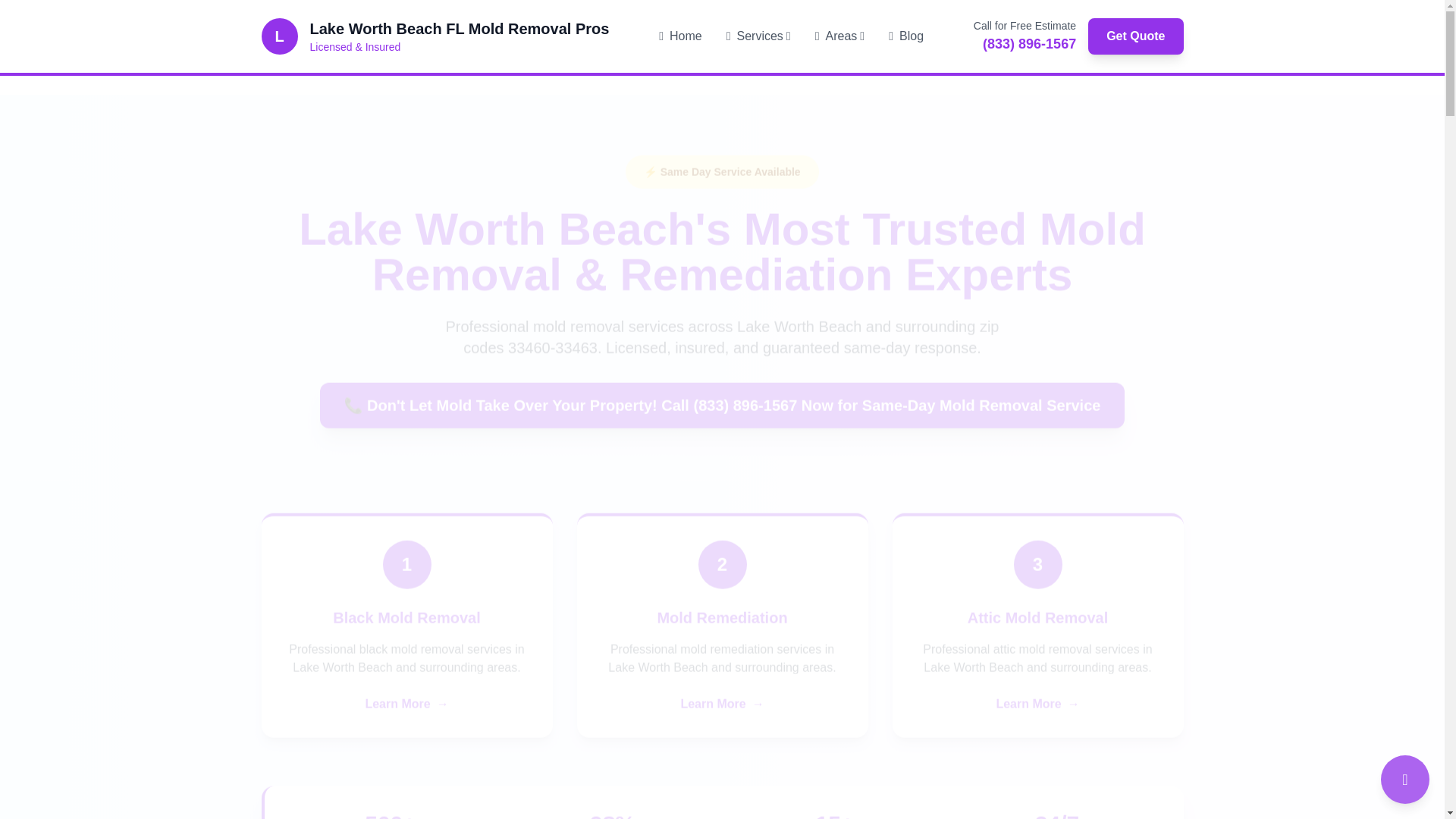 website screenshot of https://mold-removal-lake-worth-beach-fl.pages.dev/