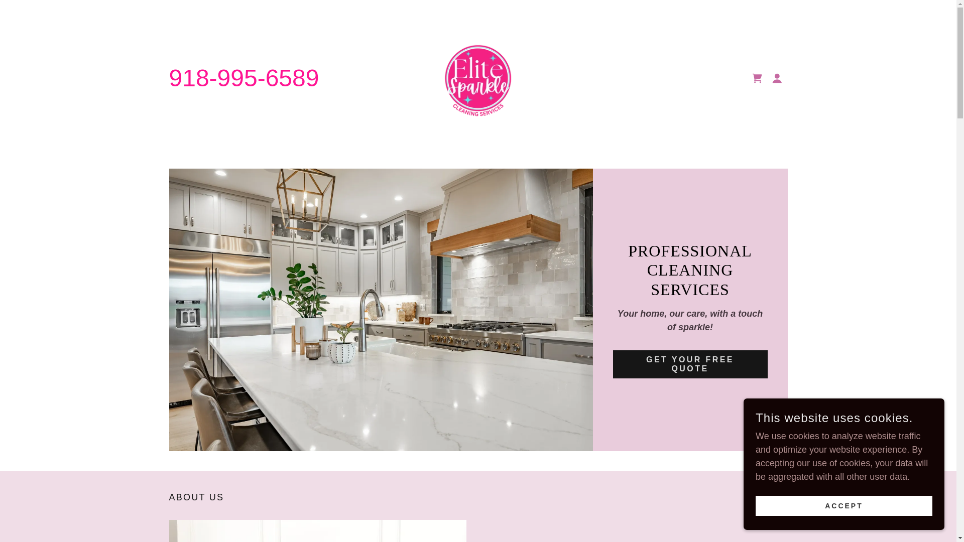 website screenshot of https://elitesparklecleaningllc.com/