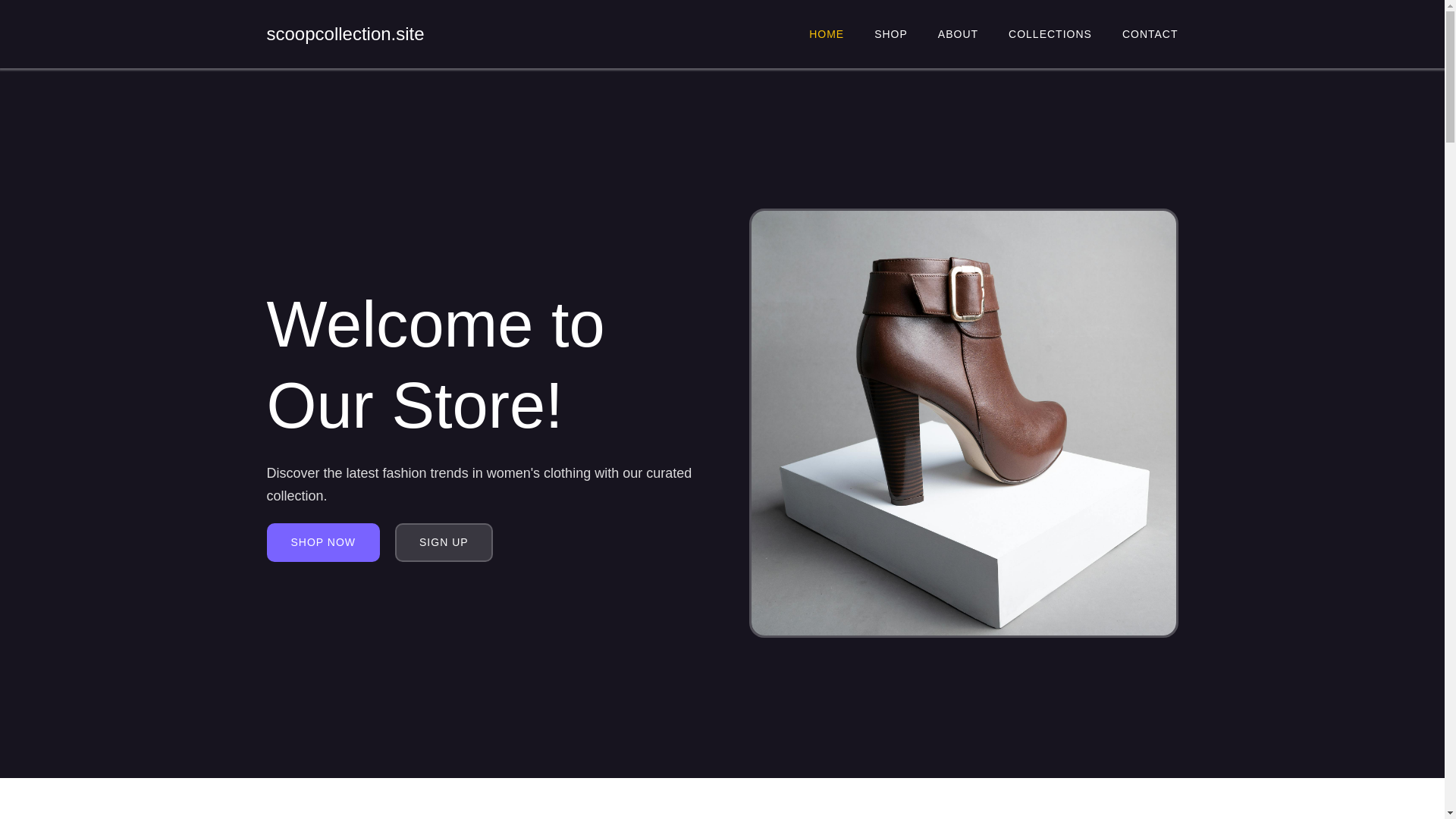 website screenshot of https://scoopcollection.site/