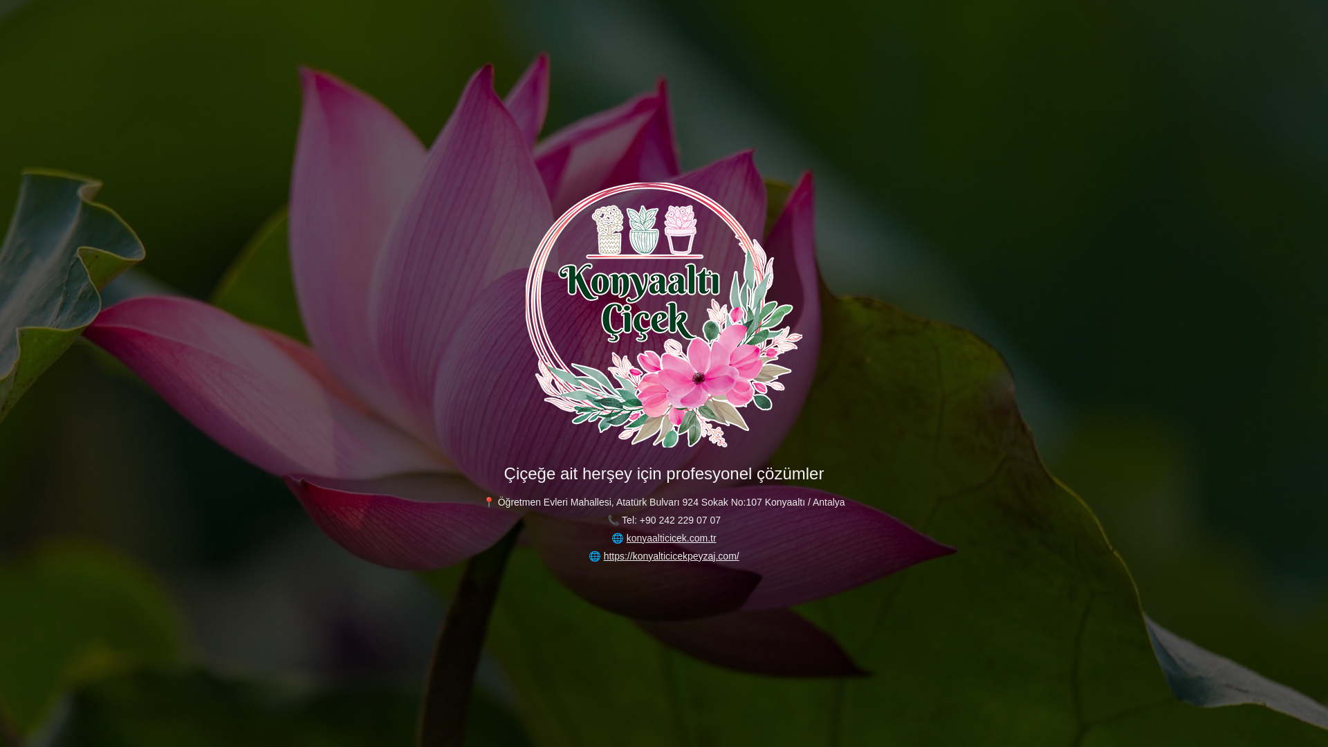 website screenshot of https://konyaalticicekcomtr.pages.dev/