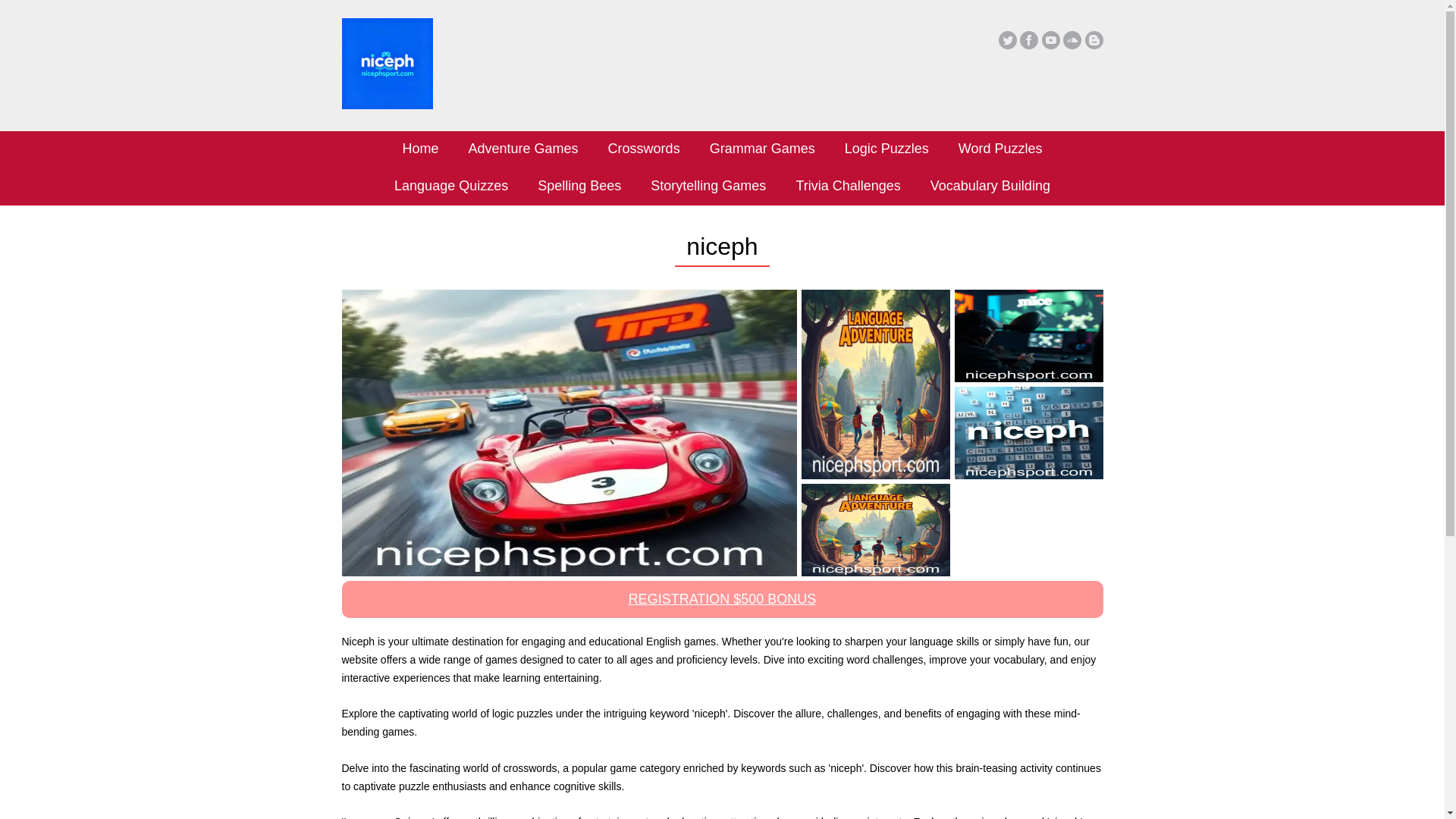 website screenshot of https://nicephsport.com/
