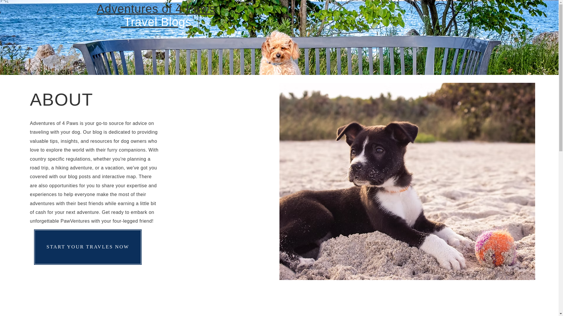 website screenshot of https://adventuresof4paws.com/