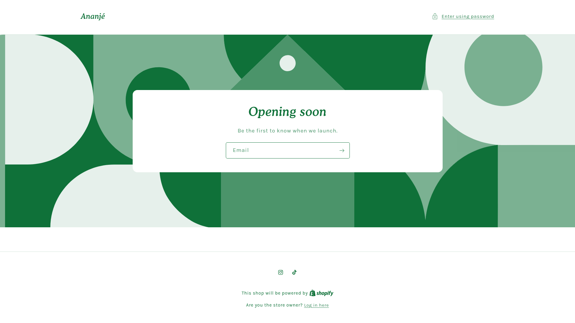 website screenshot of https://ananje.com/