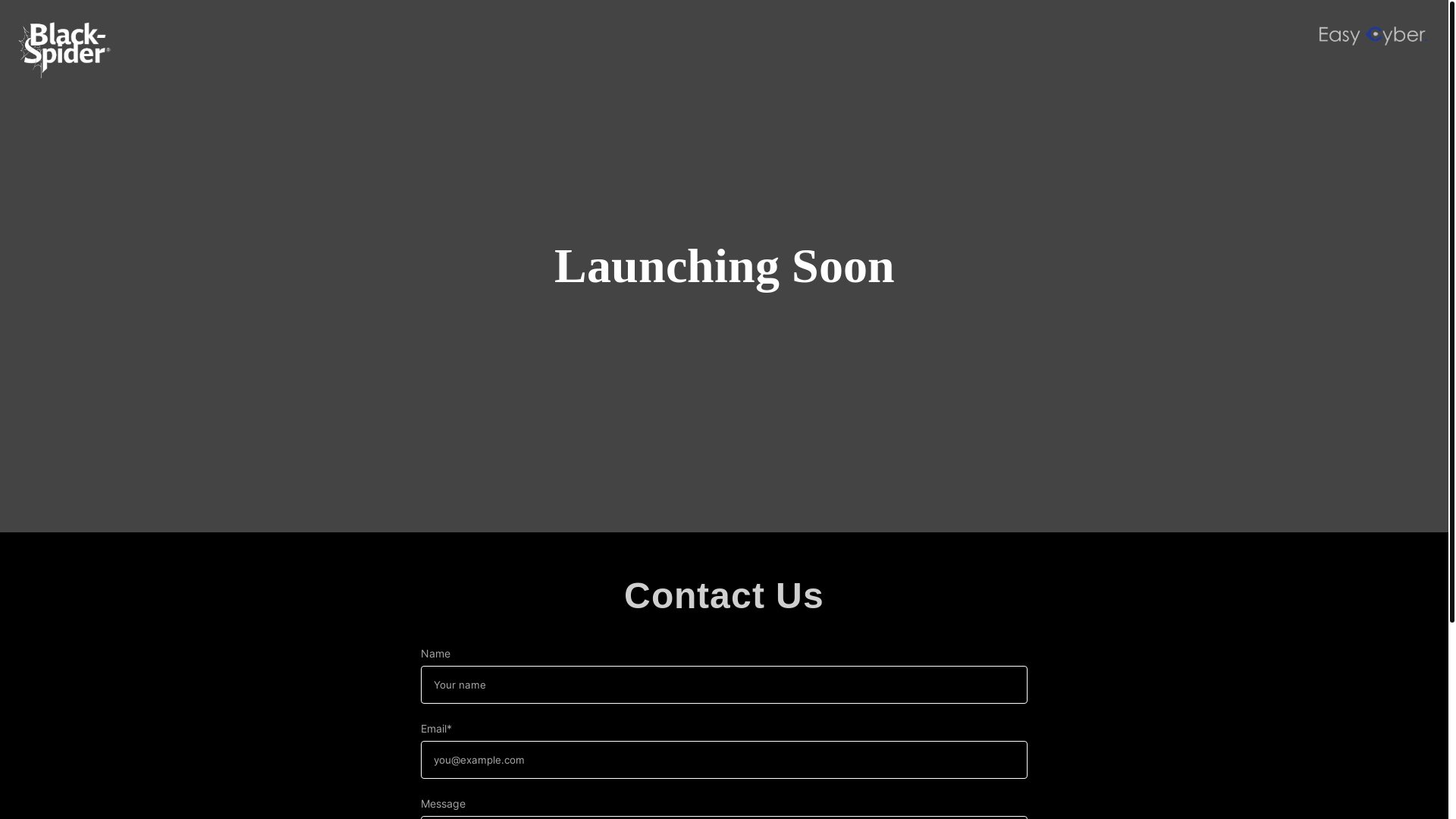 website screenshot of https://blackspider.pages.dev/