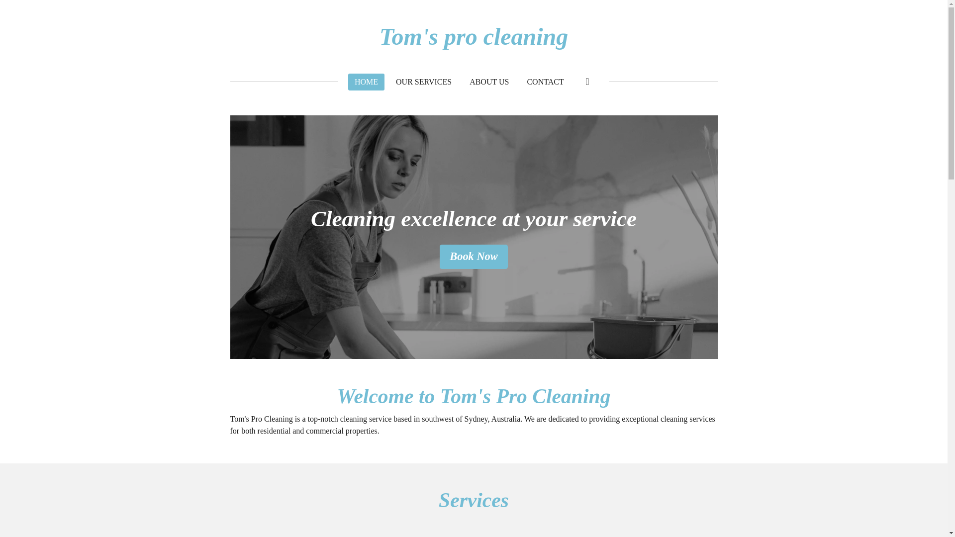 website screenshot of https://tomsprocleaning.com/