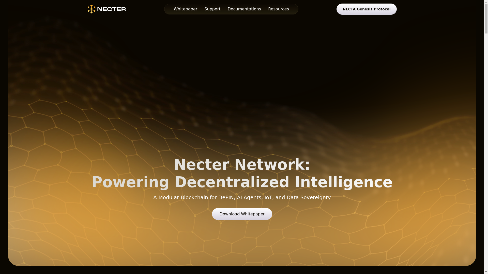 website screenshot of https://necter.pages.dev/