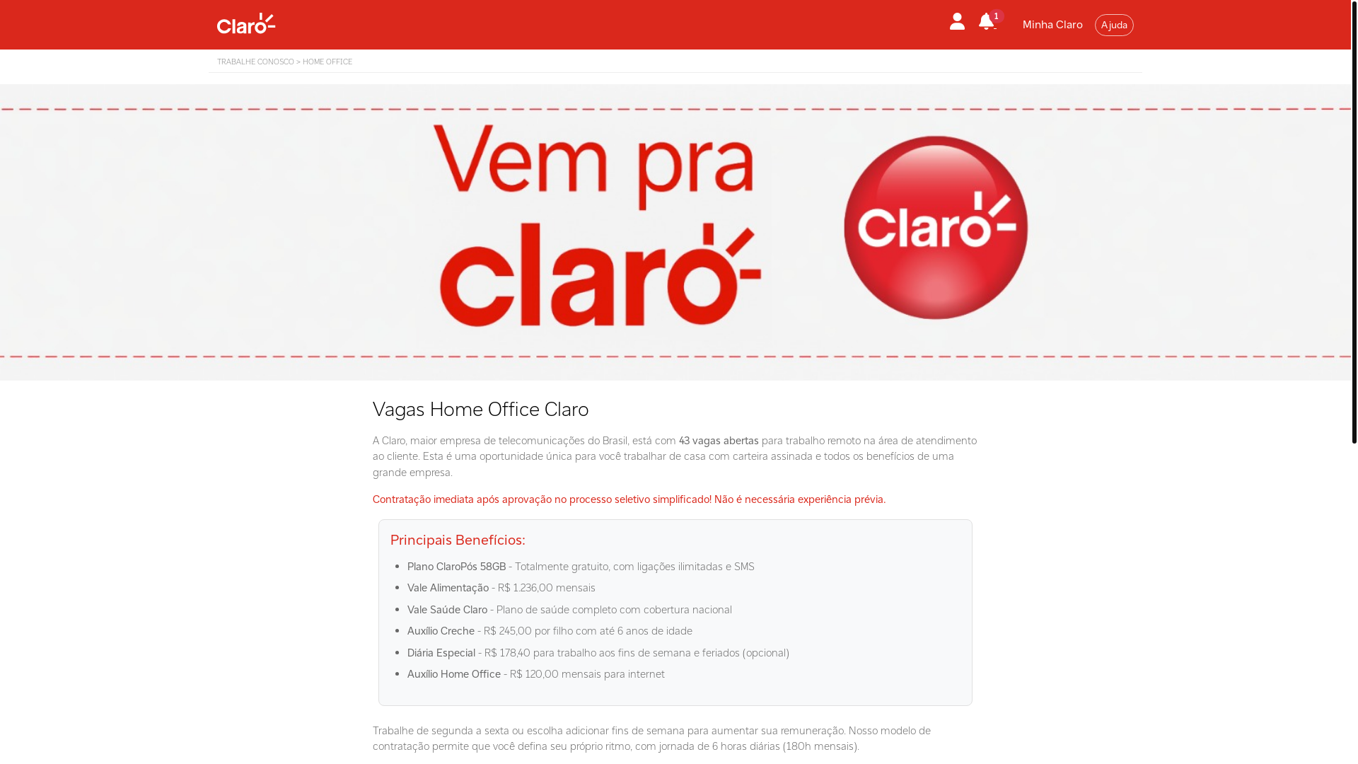 website screenshot of https://homeofficevagas.site/