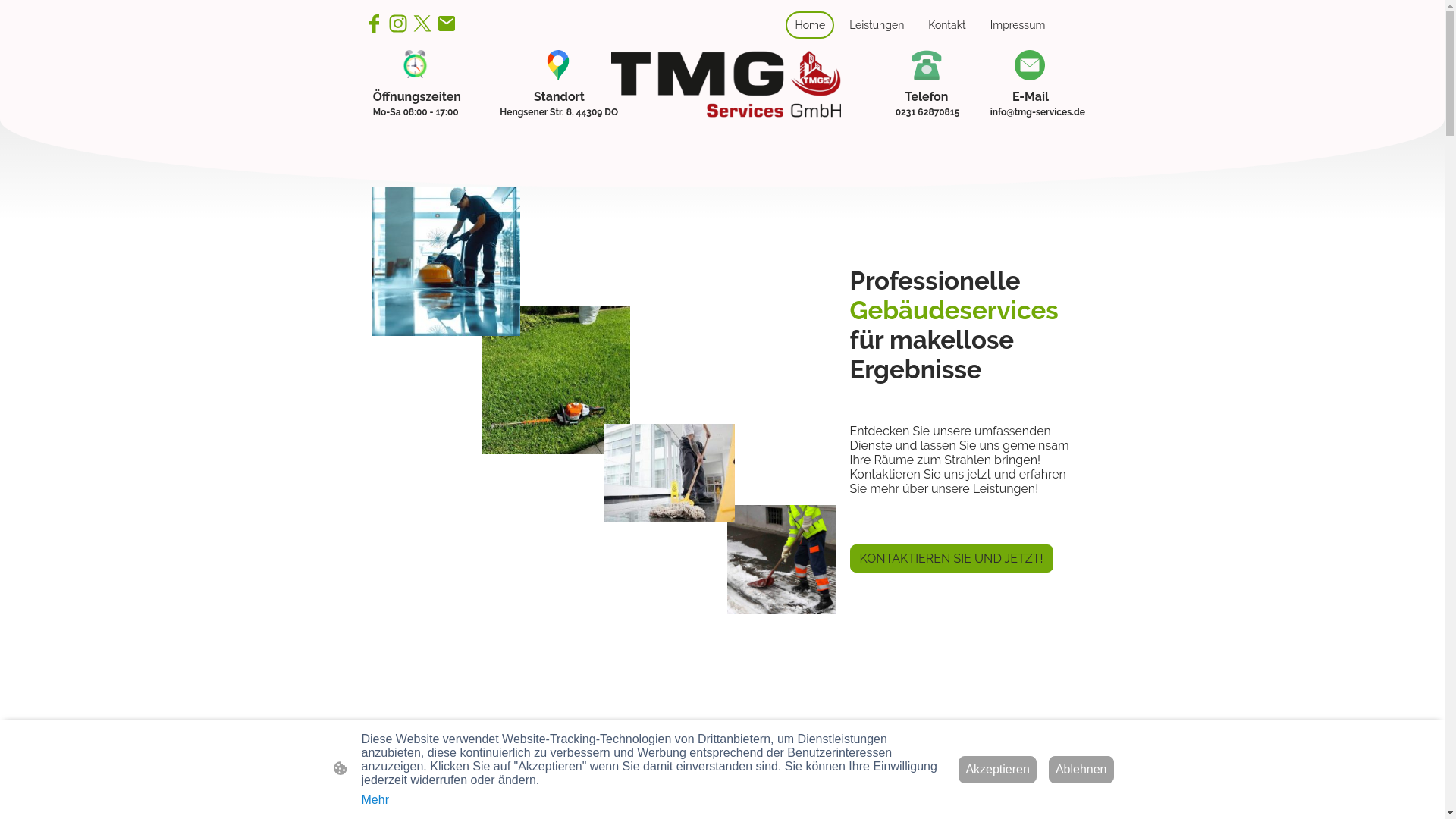 website screenshot of https://tmg-services.de/