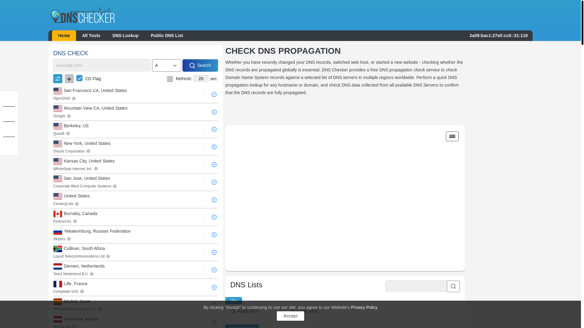 website screenshot of https://dnschecker.org/