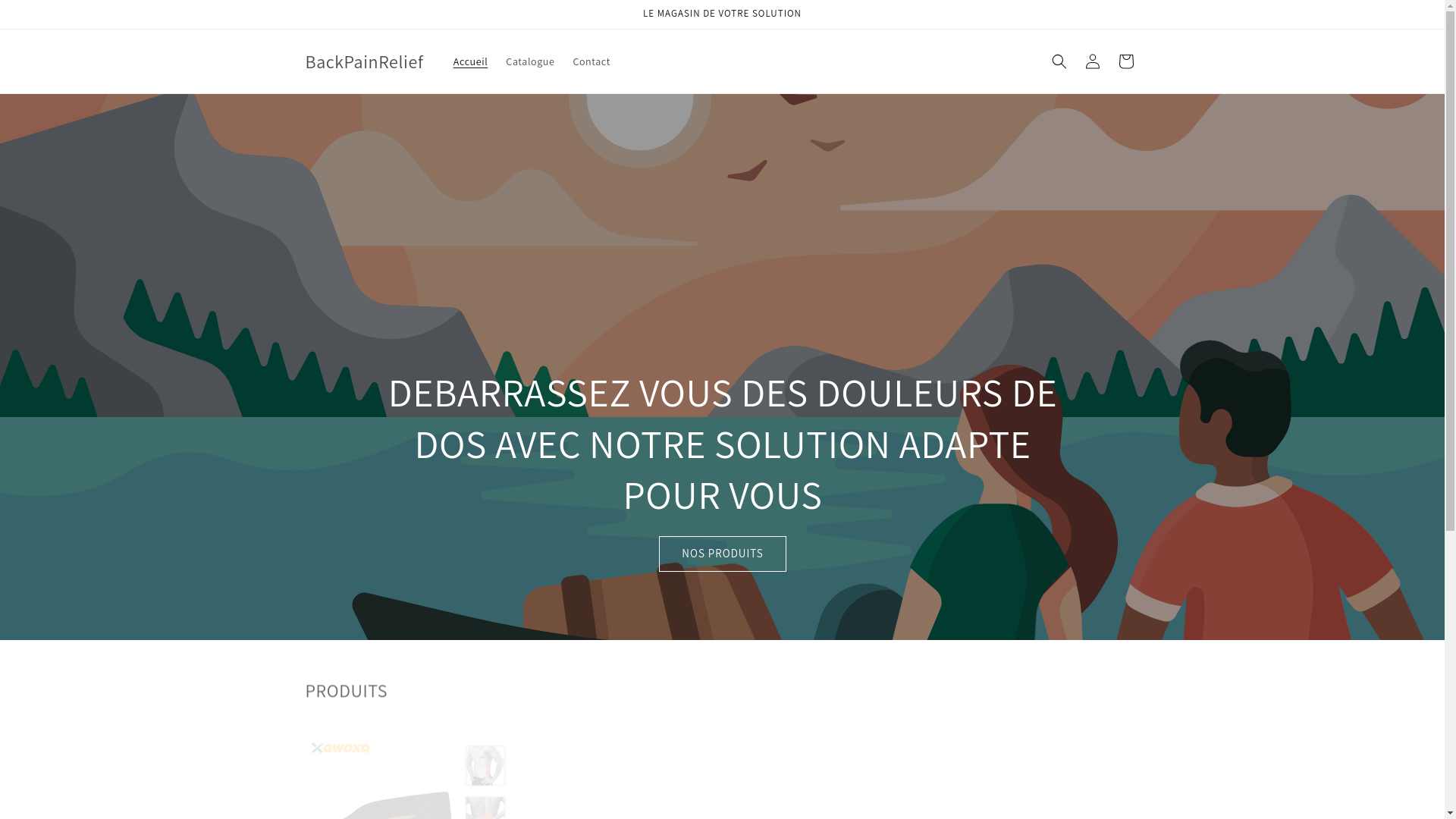website screenshot of https://backpainrelief.fr/