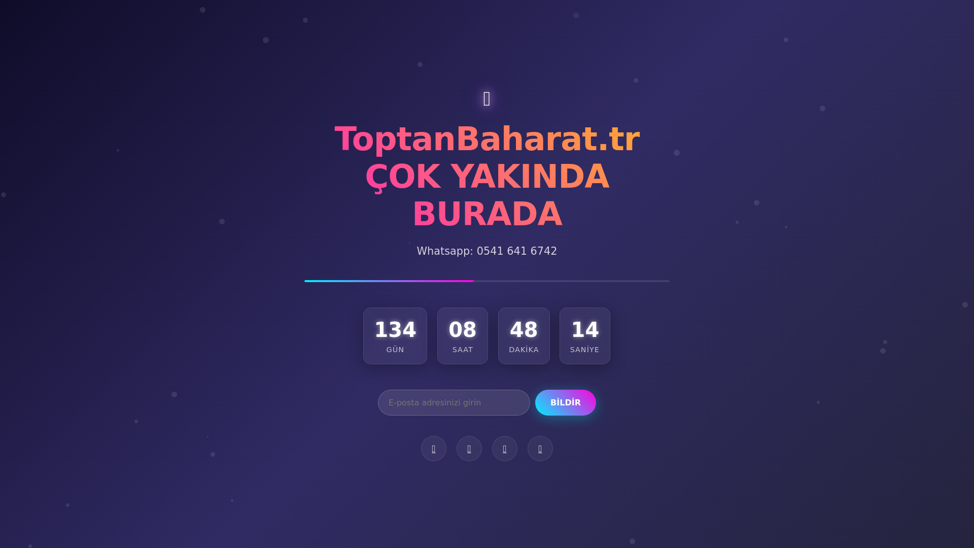 website screenshot of https://toptanbaharat.tr/