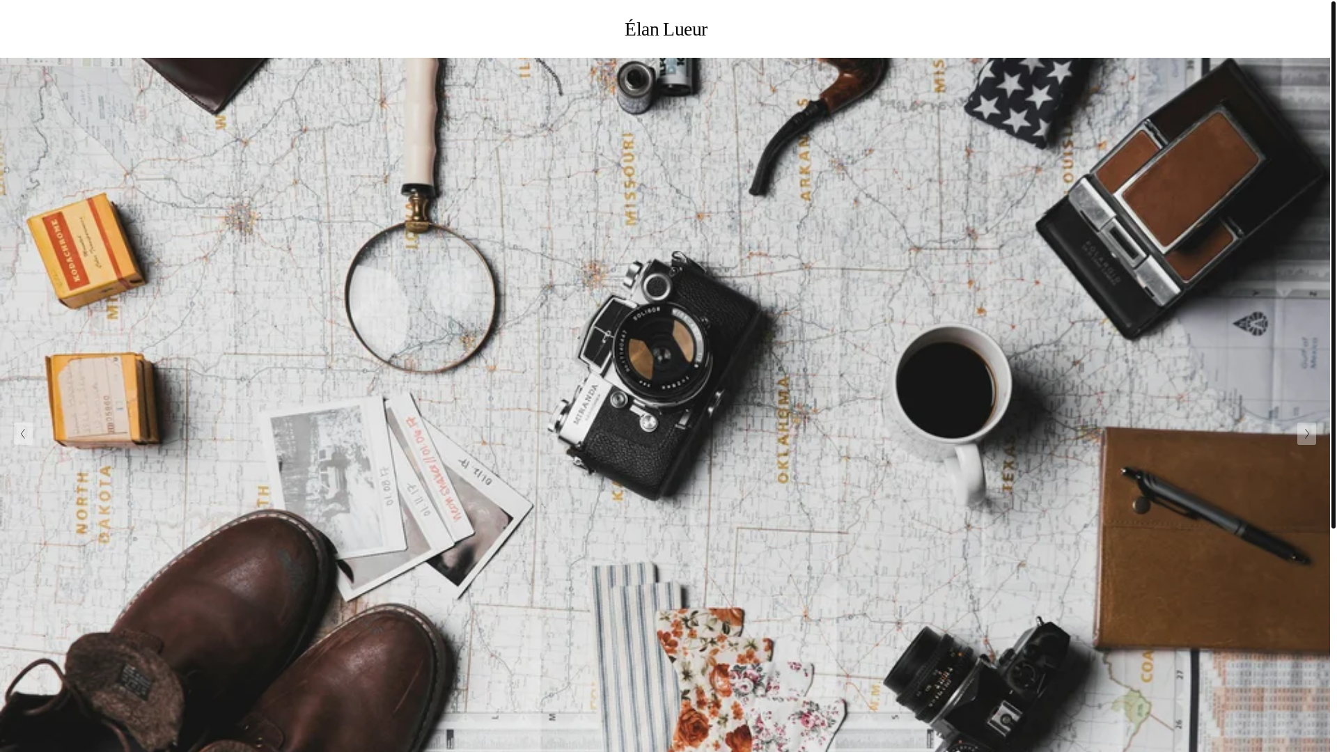 website screenshot of https://elanlueur.com/