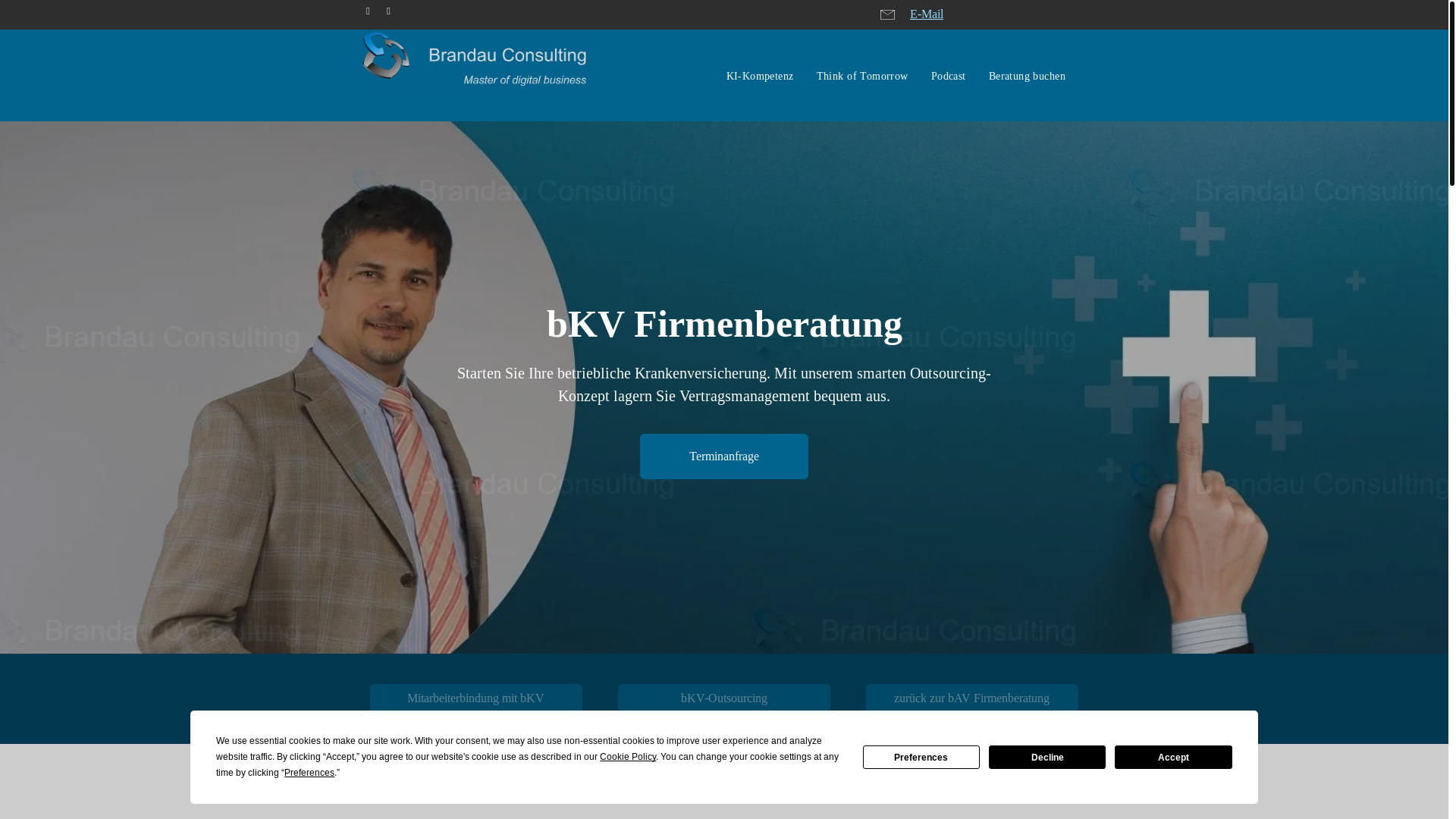 website screenshot of https://bkv-firmenberater.de/
