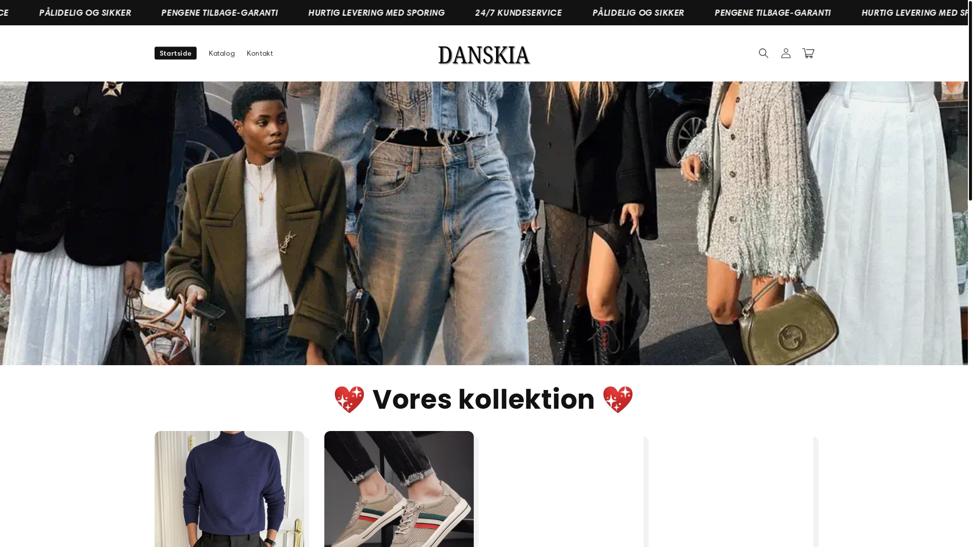website screenshot of https://danskia.com/