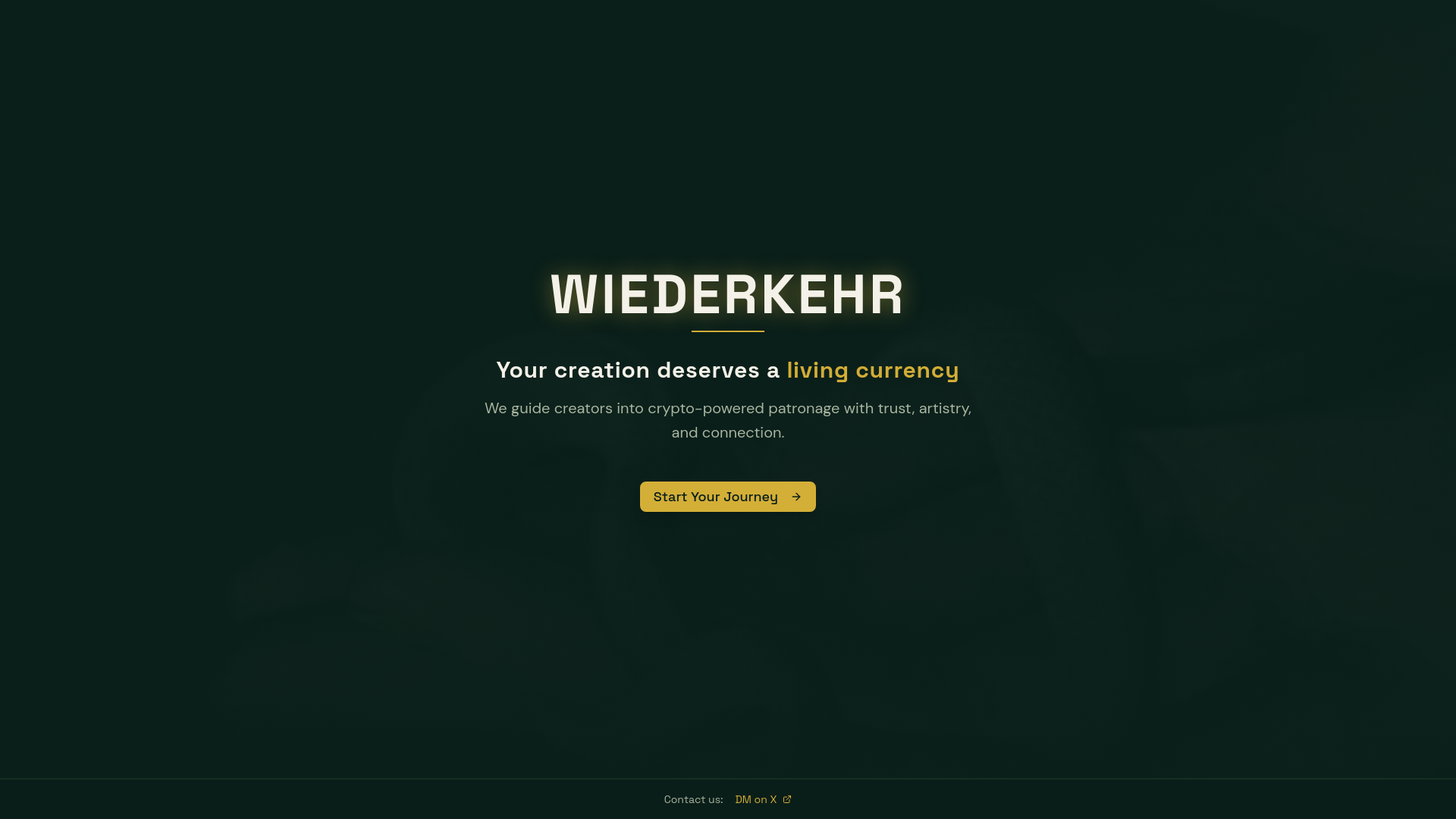 website screenshot of https://wiederkehr.vc/