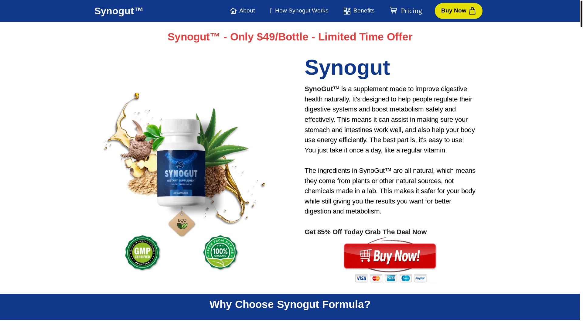 website screenshot of https://synogut.ca/