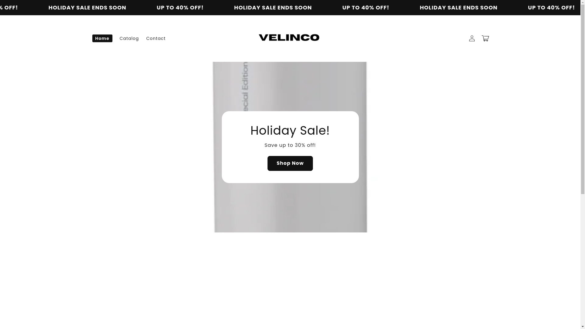 website screenshot of https://velinco.shop/