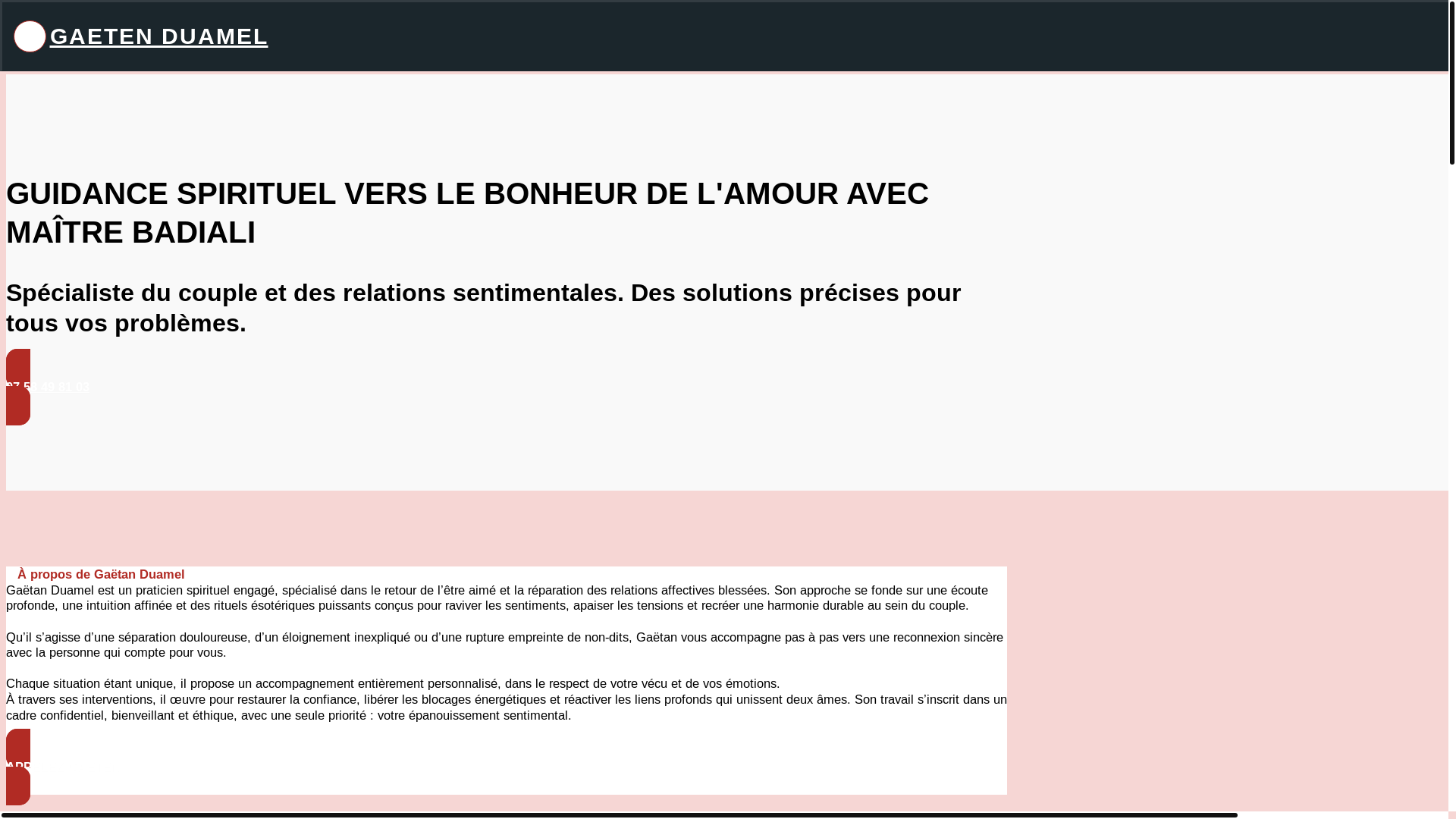 website screenshot of https://gaetan-duamel.fr/