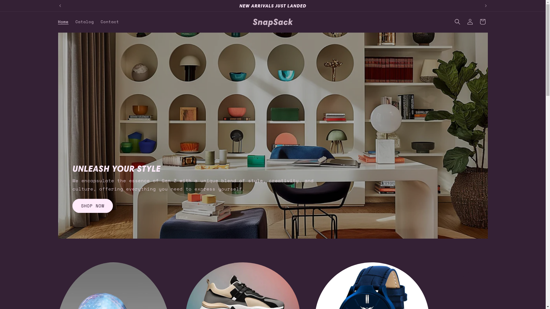 website screenshot of https://snapsack.shop/