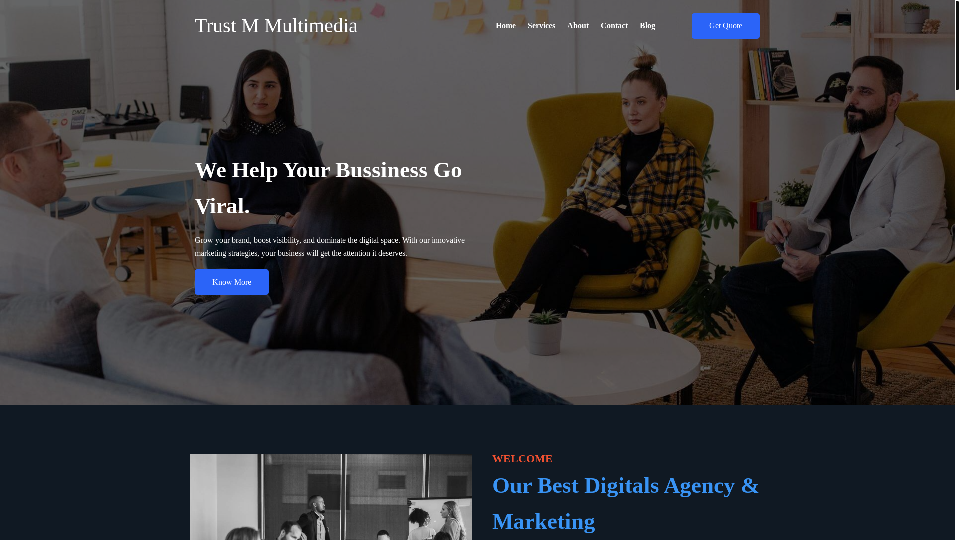 website screenshot of https://trustmmultimedia.com/