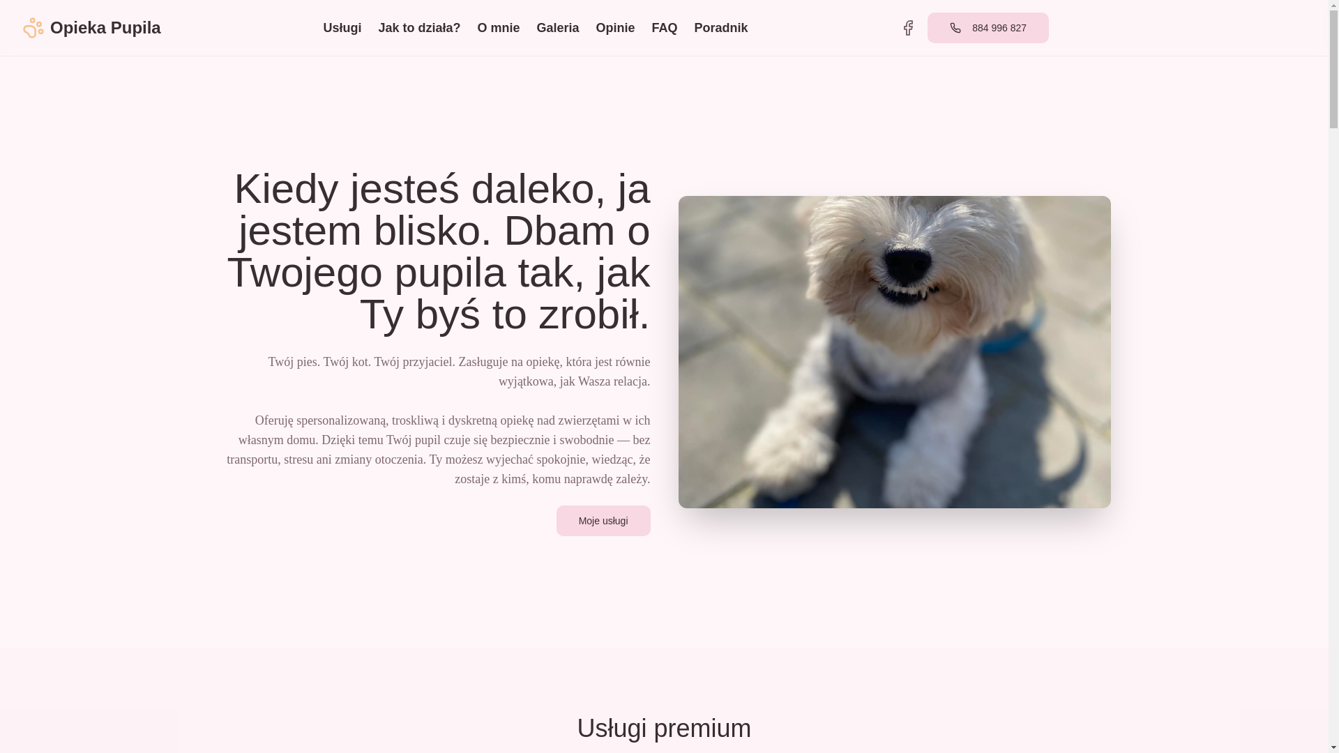 website screenshot of https://opiekapupila.pl/