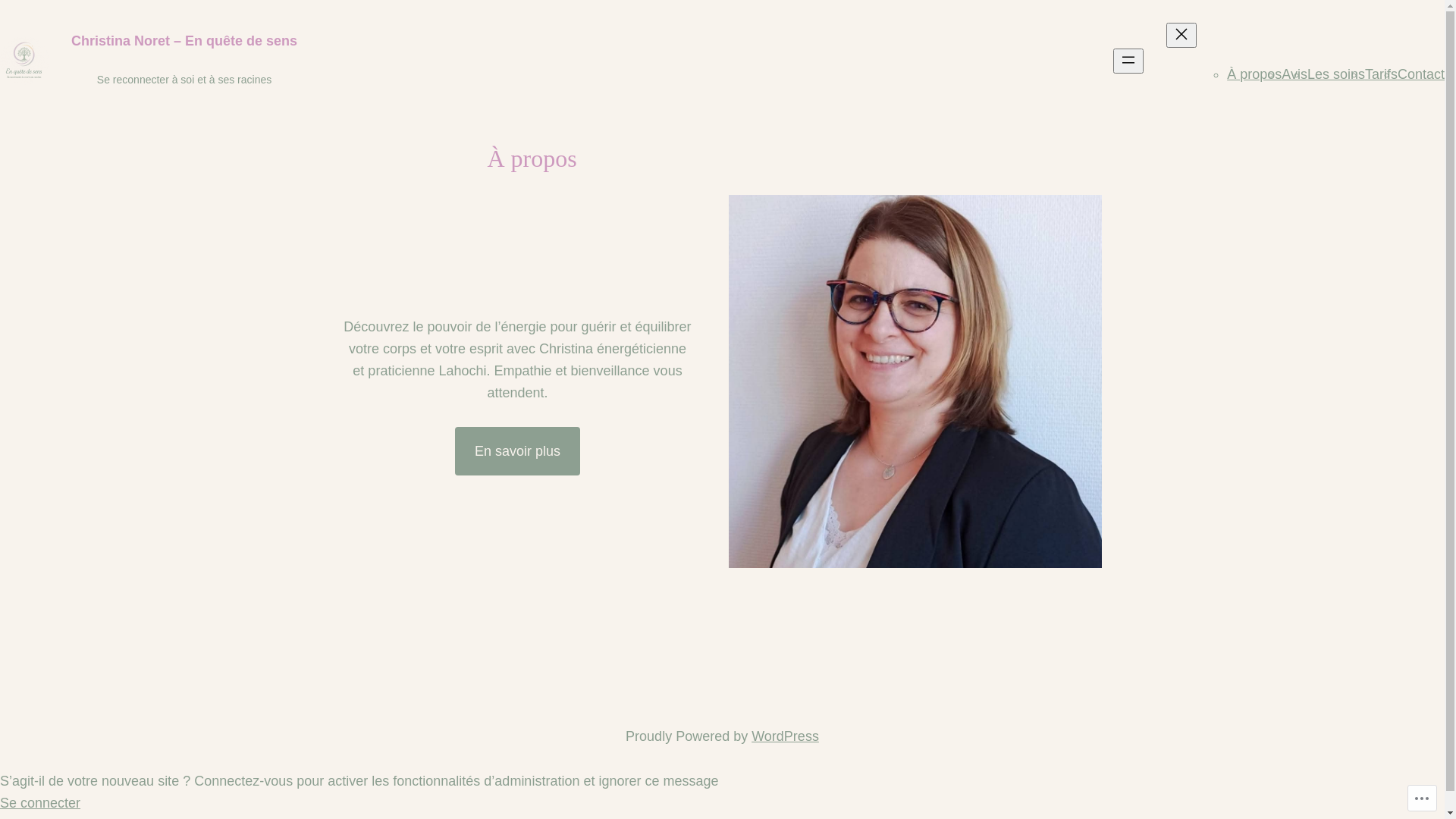 website screenshot of https://christinanoret-enquetedesens.fr/