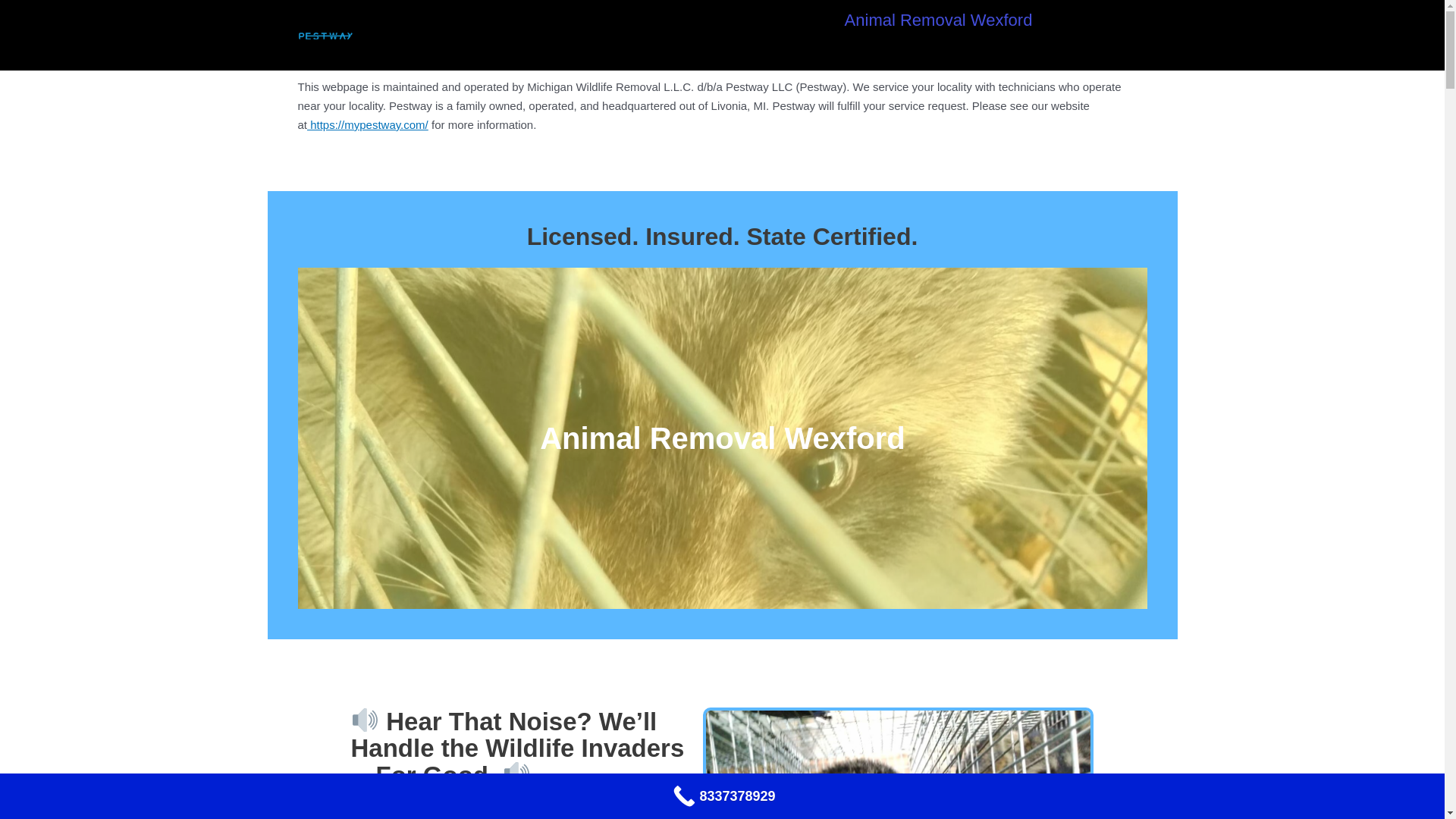website screenshot of https://wildliferemovalbenziecounty.com/