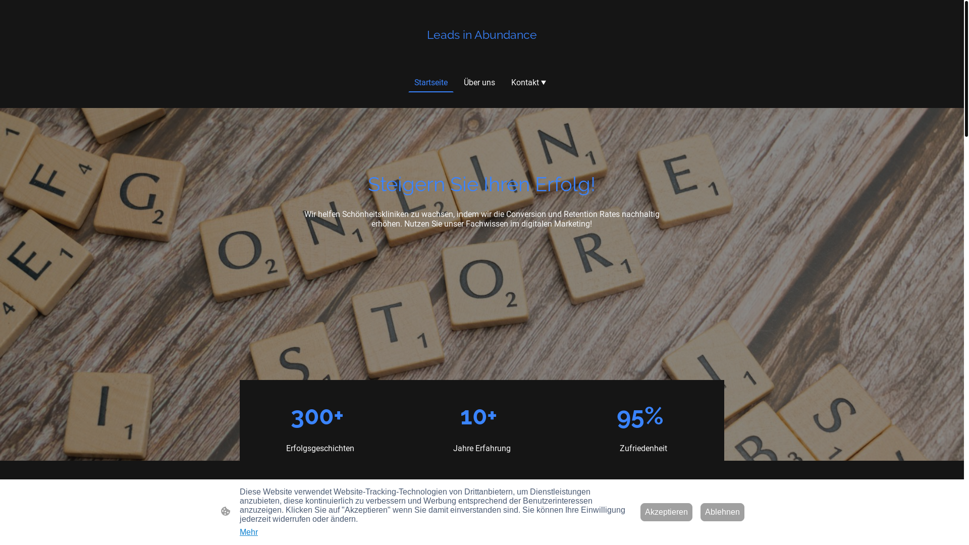 website screenshot of https://leads-in-abundance.de/
