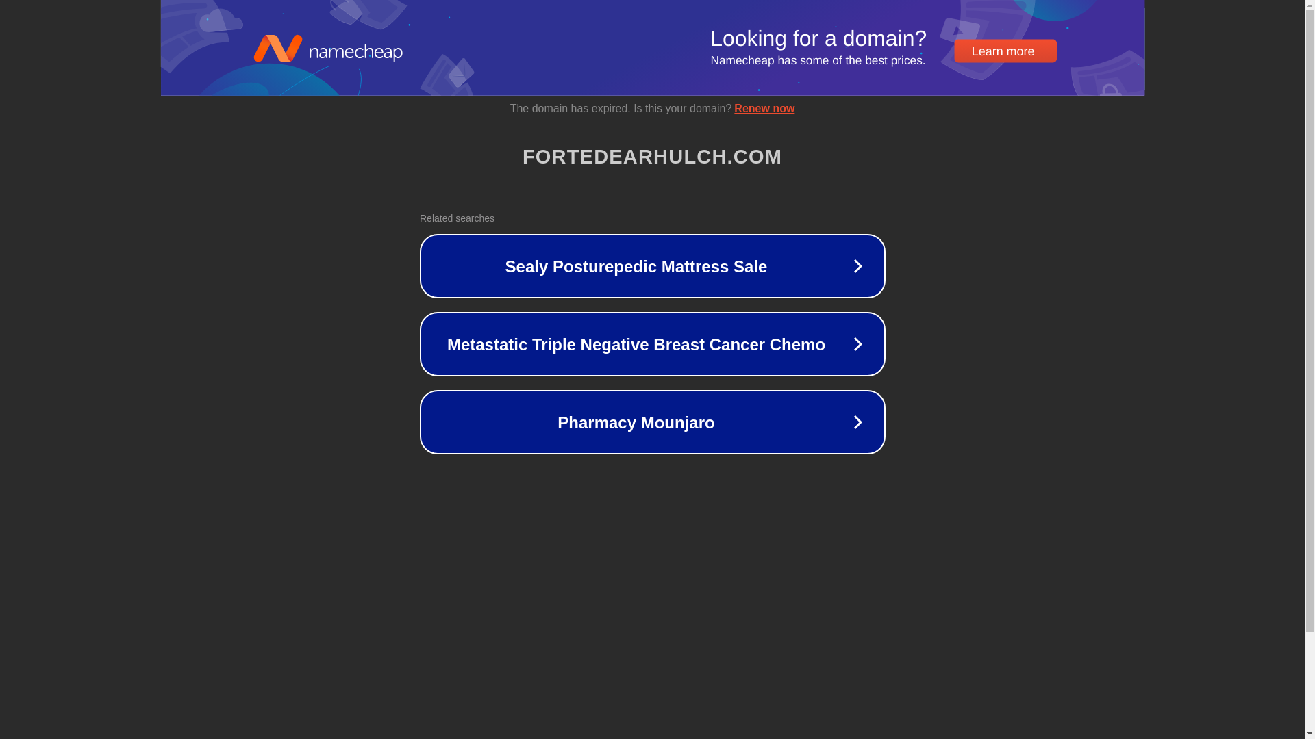 website screenshot of https://fortedearhulch.com/