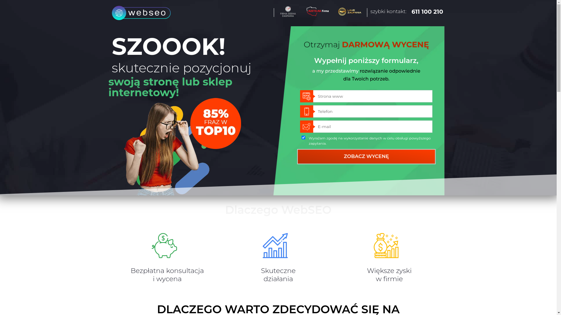 website screenshot of https://topseolokal.pl/