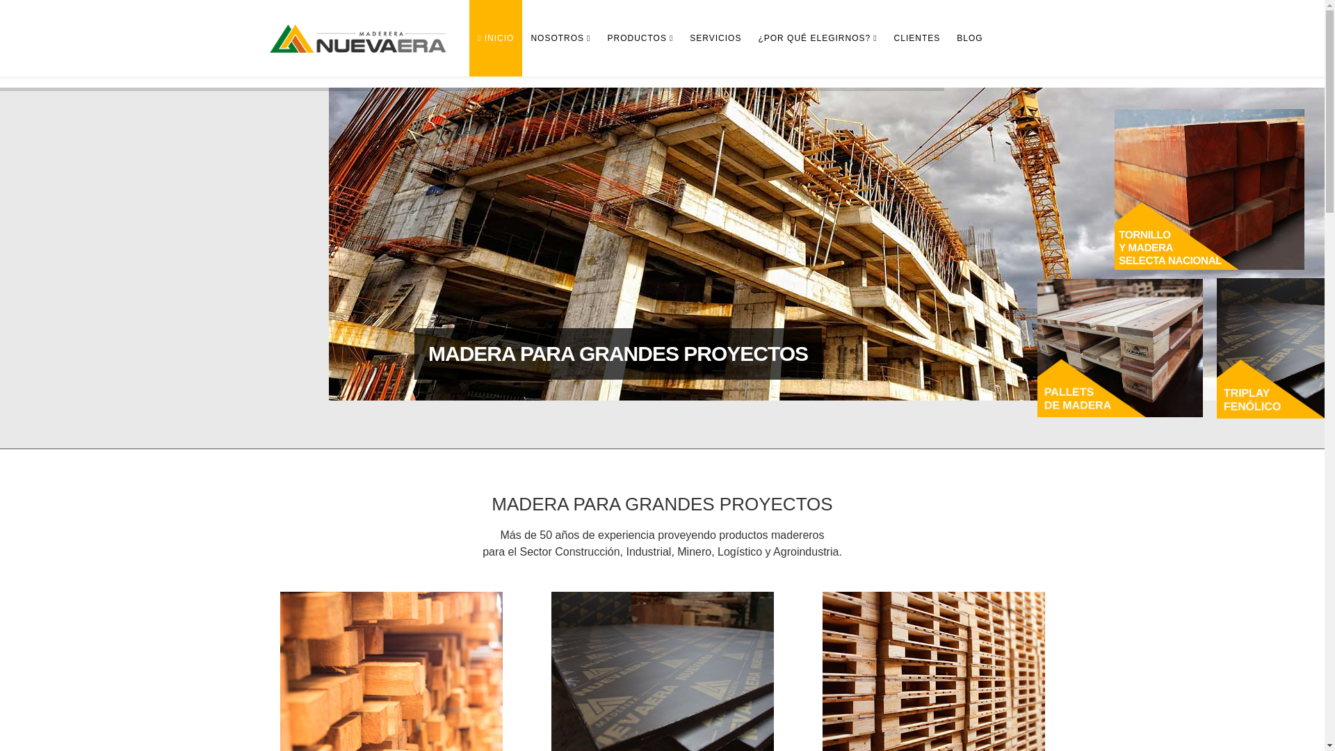 website screenshot of https://lngrsoflnancieraenlinea.pages.dev/