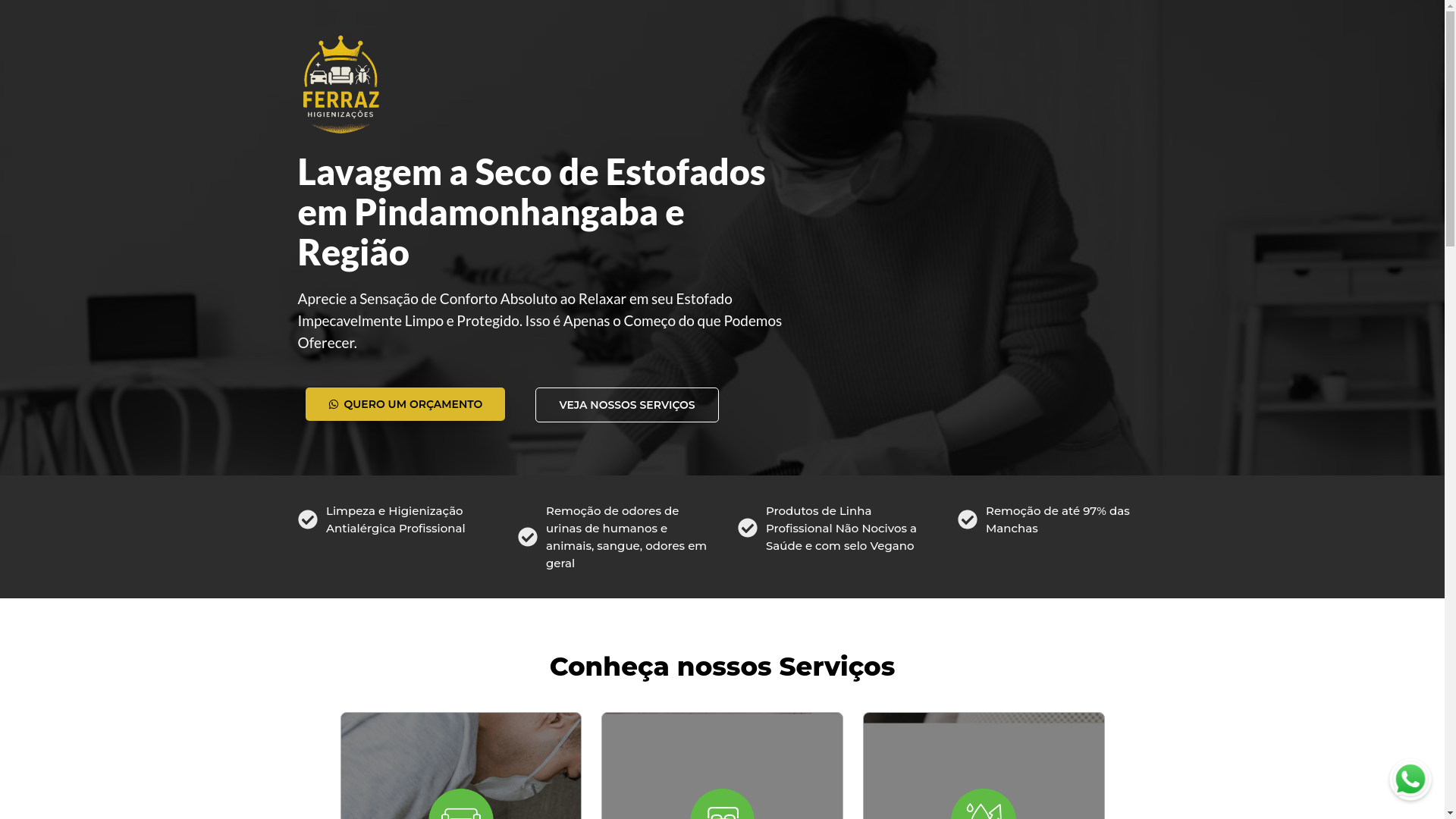 website screenshot of https://ferrazhigienizacao.site/