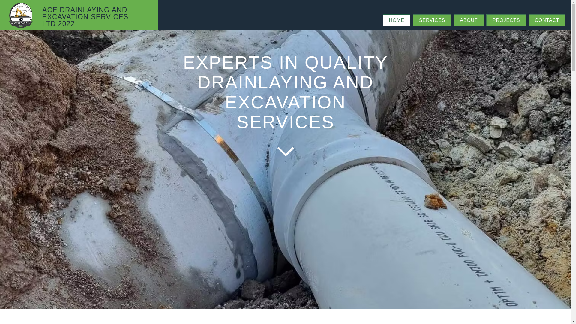website screenshot of https://acedrainlayingnz.com/