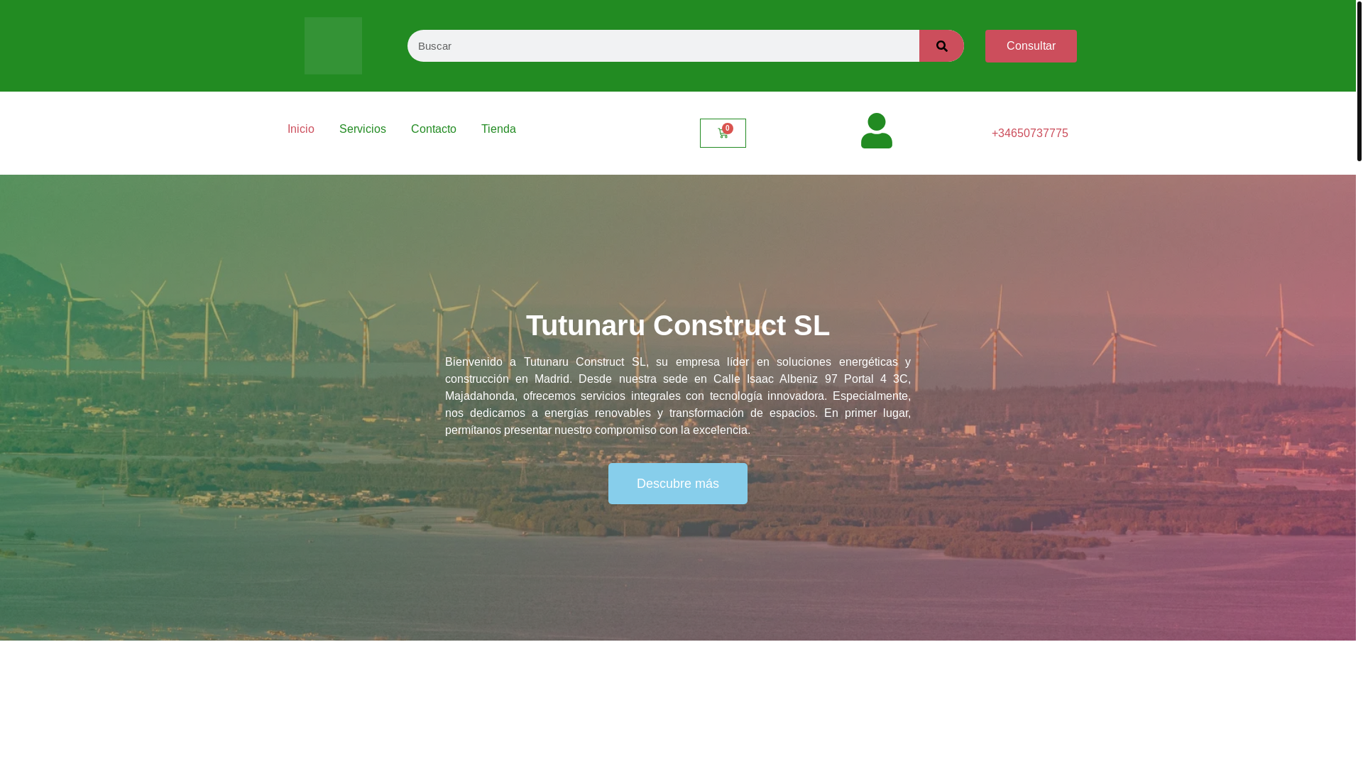 website screenshot of https://constructtutunaru.es/
